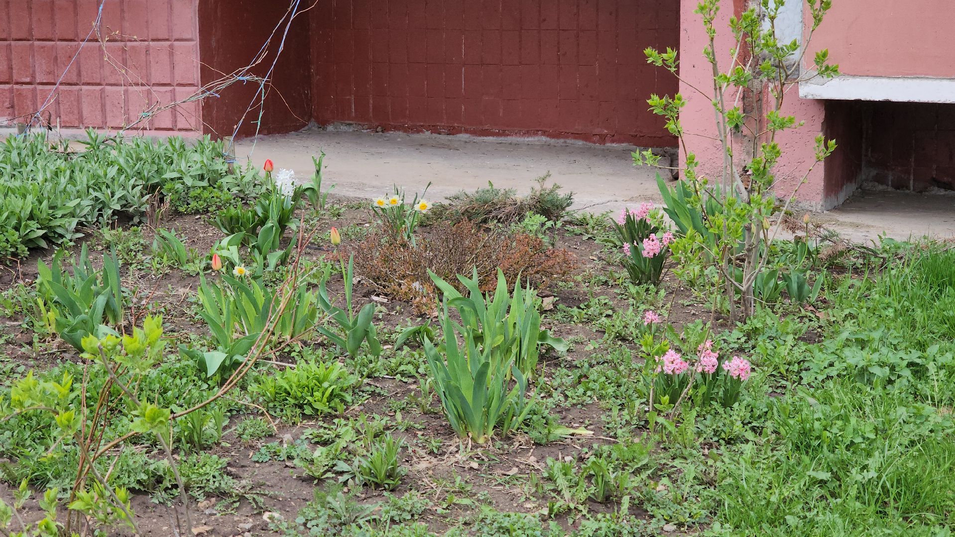 кашира, благоустройство, голосование, кашира-3, улица ленина, лидер голосования, жилье и городская среда,