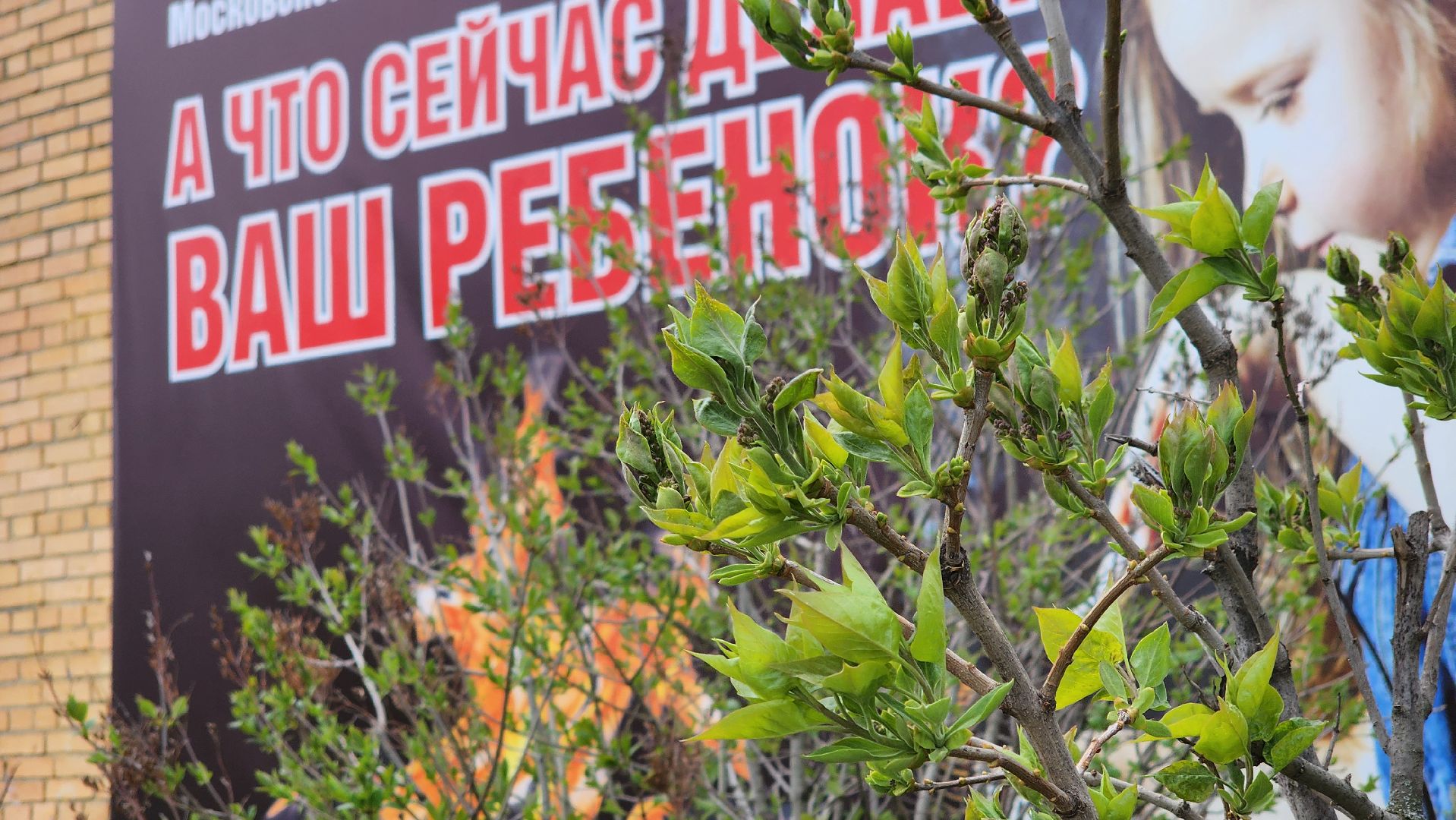 кашира, благоустройство, голосование, кашира-3, улица ленина, лидер голосования, жилье и городская среда,