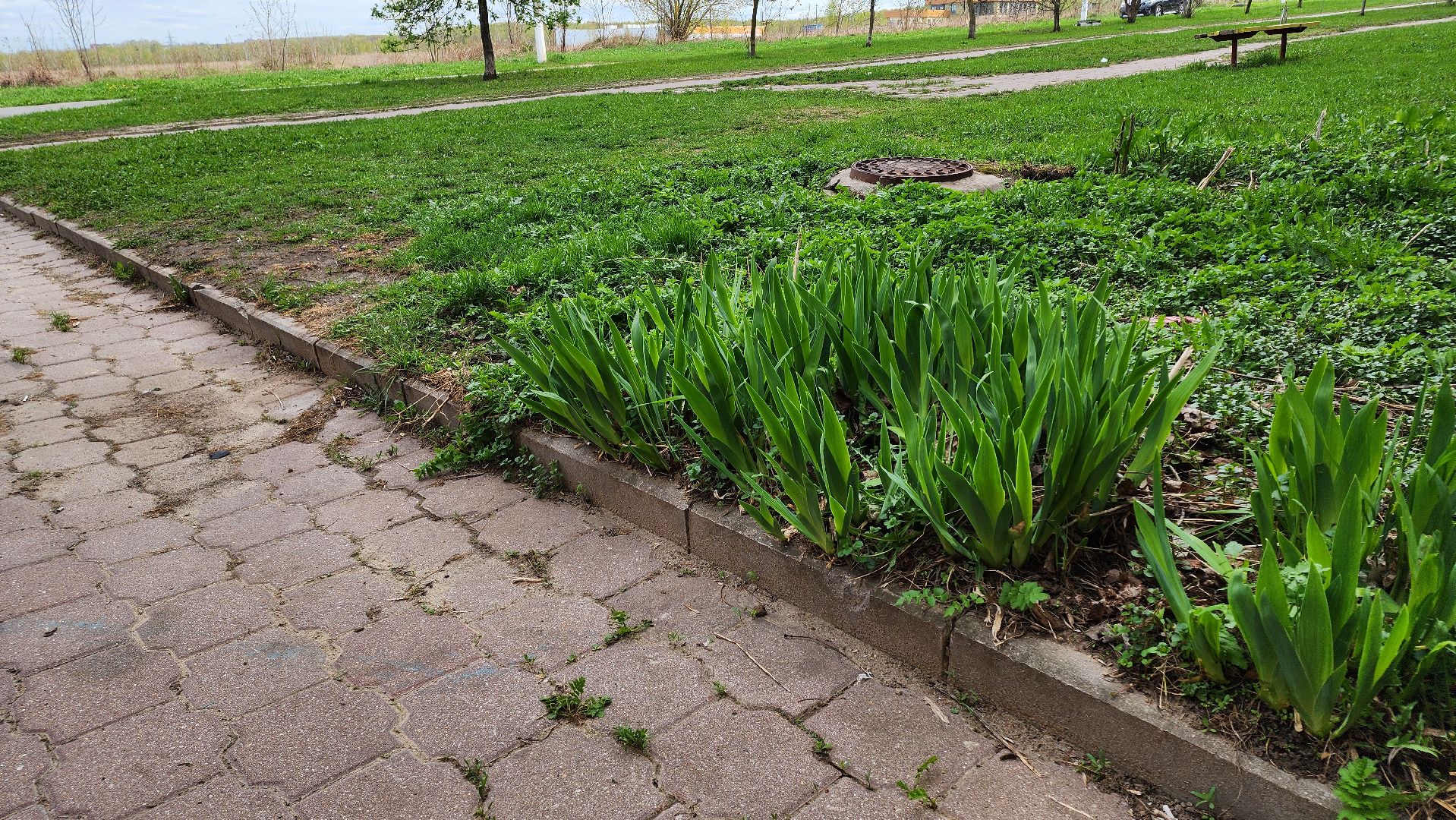 кашира, благоустройство, голосование, кашира-3, улица ленина, лидер голосования, жилье и городская среда,