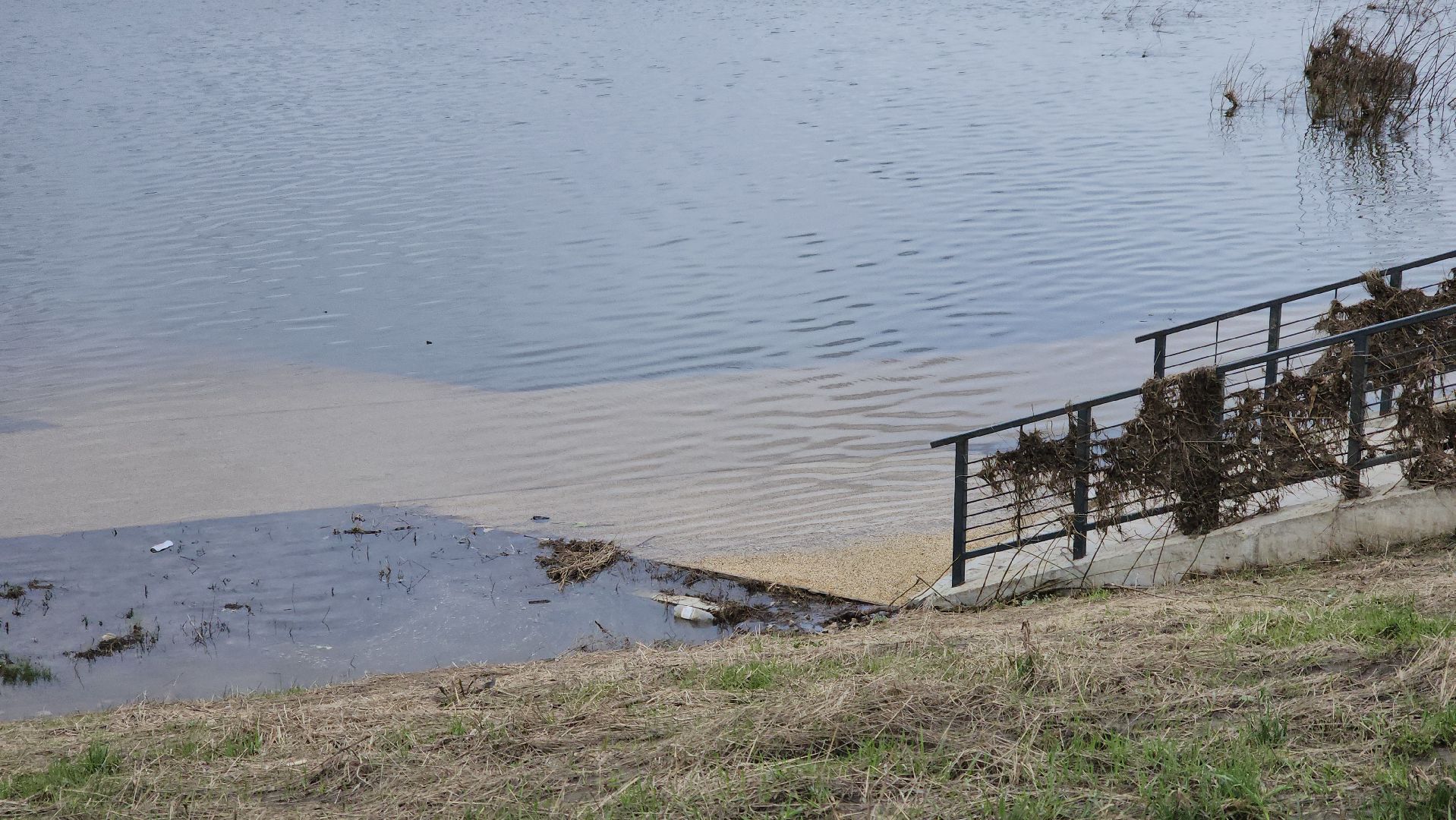 кашира, еддс, ока, паводок, водно-спасательная станция, набережная, уровень воды,