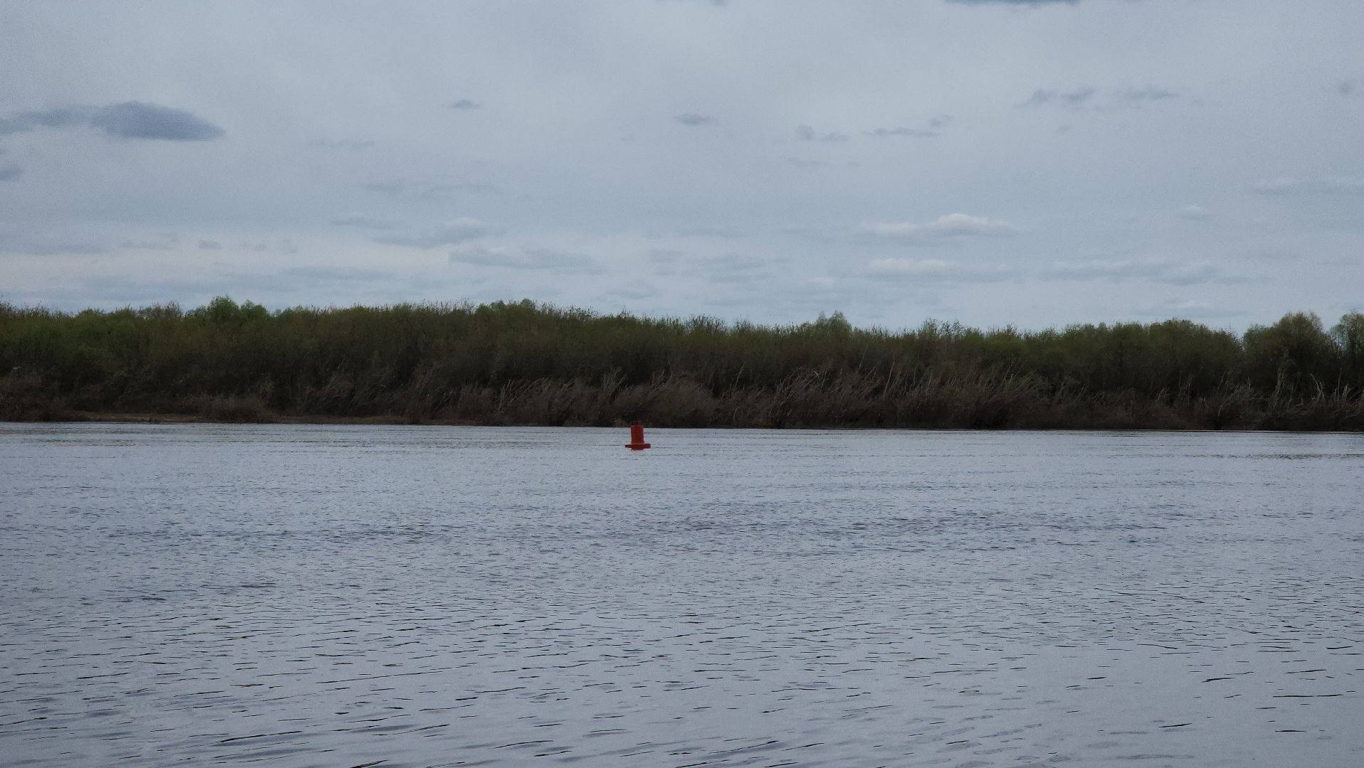 кашира, еддс, ока, паводок, водно-спасательная станция, набережная, уровень воды,