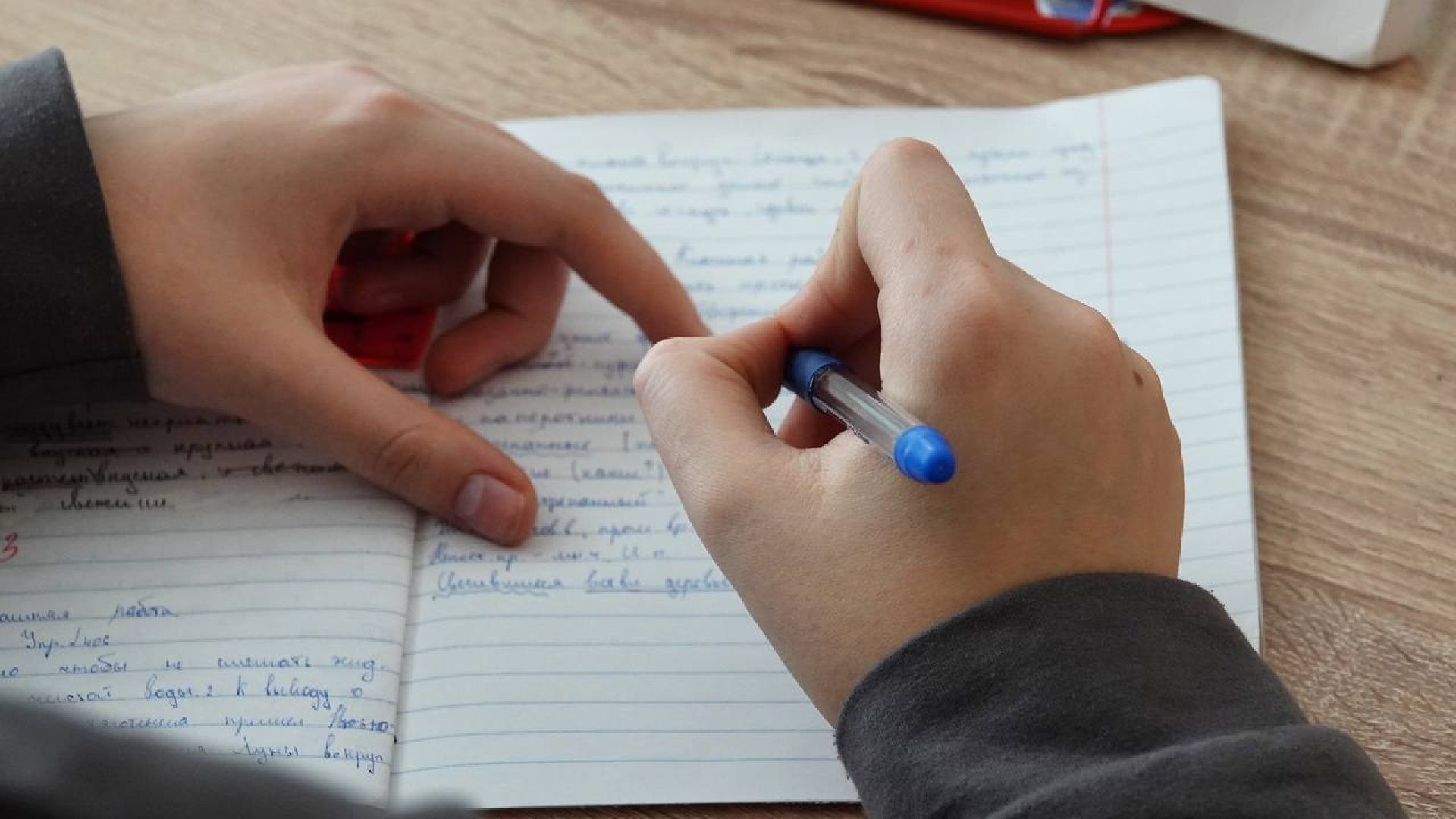 Образование, Учителя, Дети, Наставник, Награда, Указ Президента, Сергиев Посад,