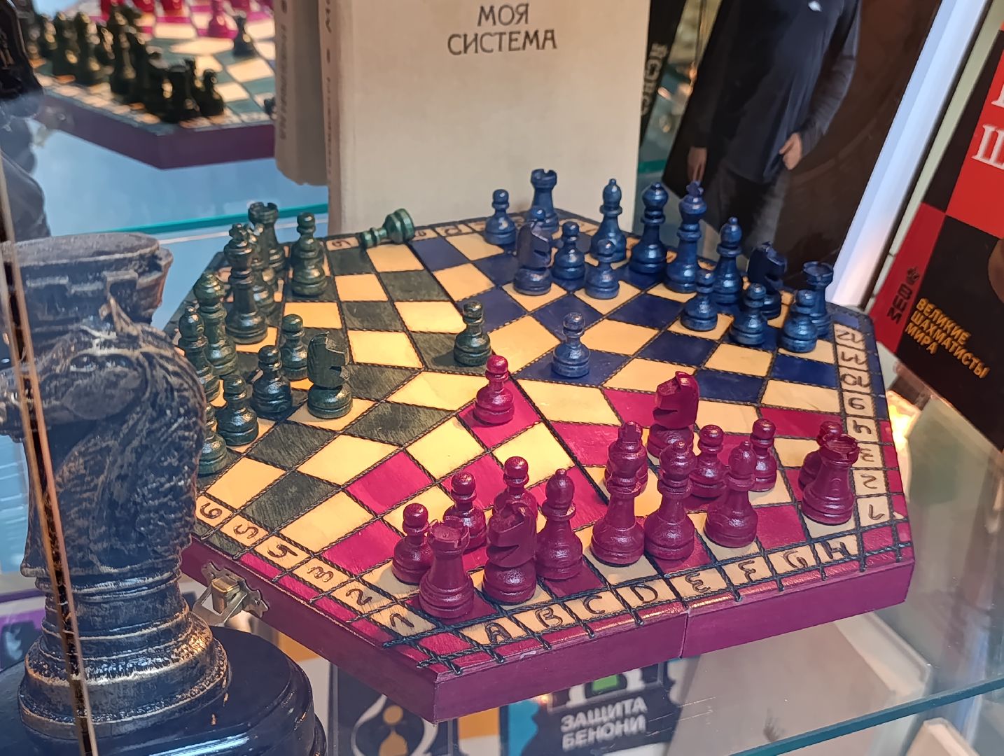 Бронницы, Коллекция шахмат, Частный коллекционер, Игра с Карповым,