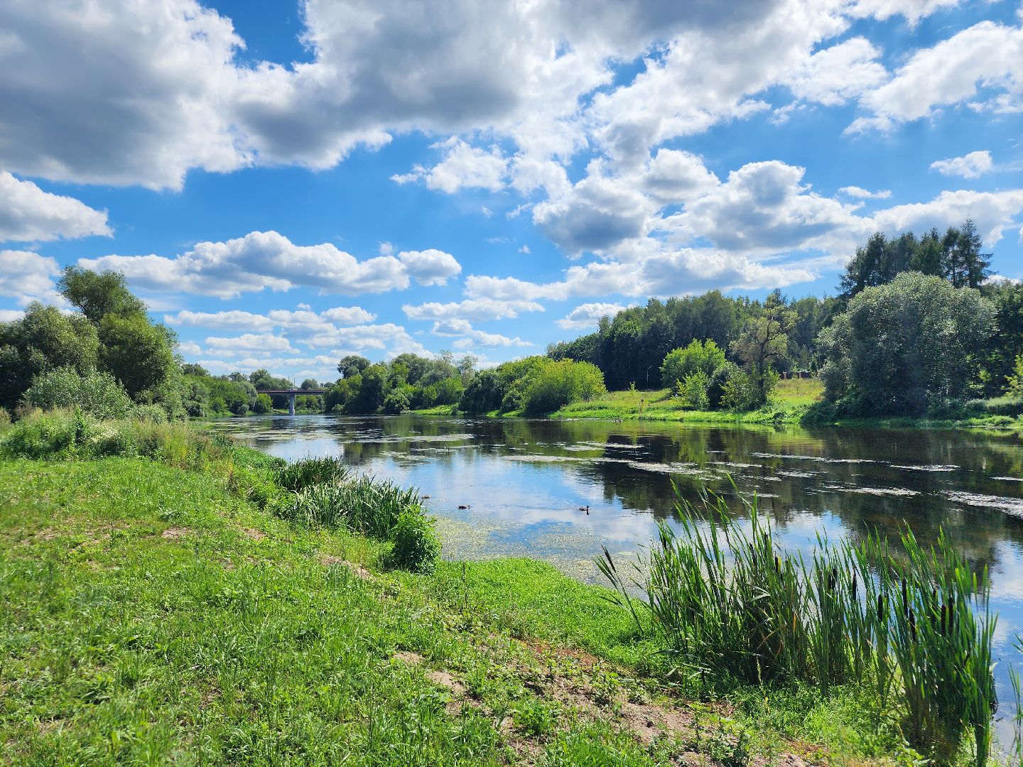 Звенигород, Выездная администрация,
