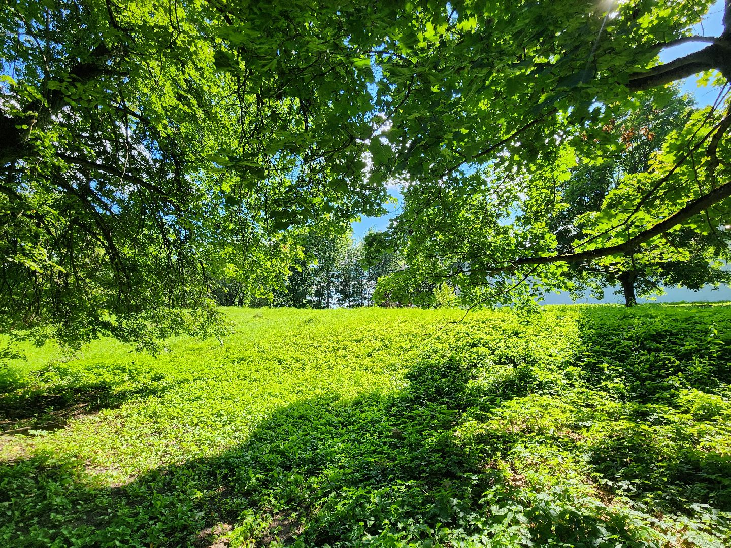 Звенигород, Выездная администрация,