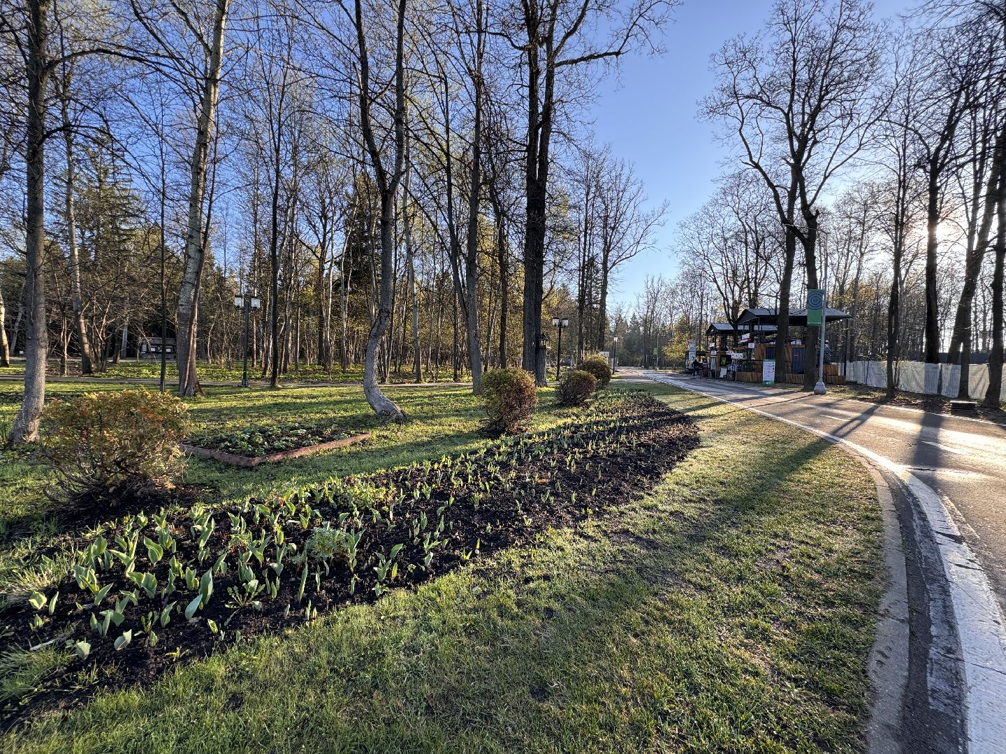 Одинцово, Клещи, обработка от клещей,