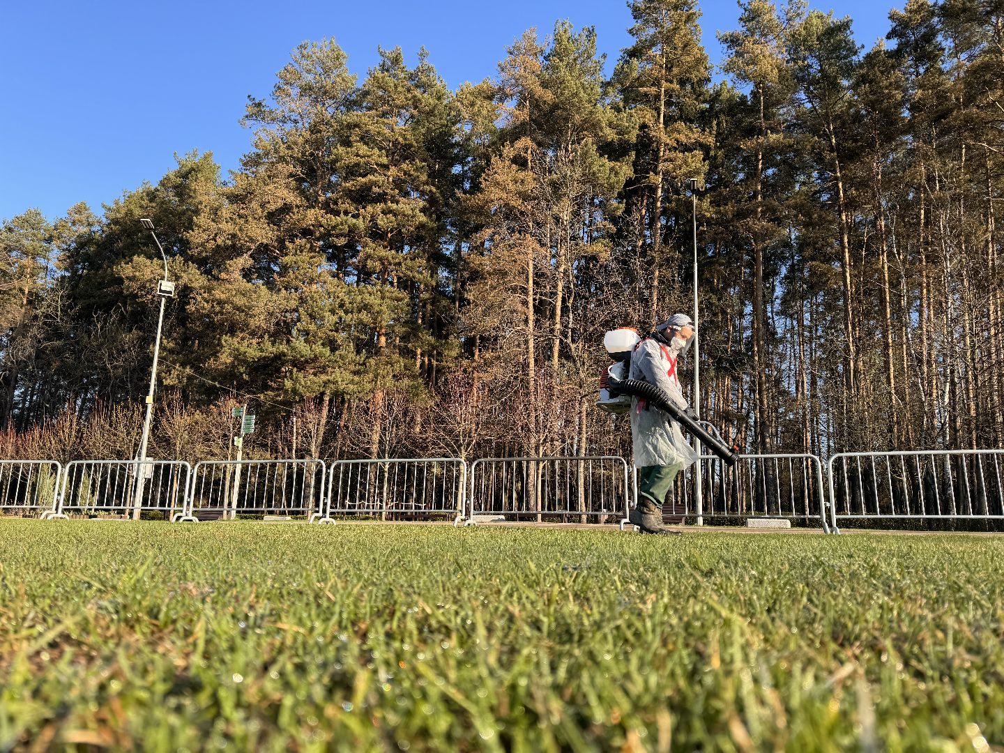 Одинцово, Клещи, обработка от клещей,