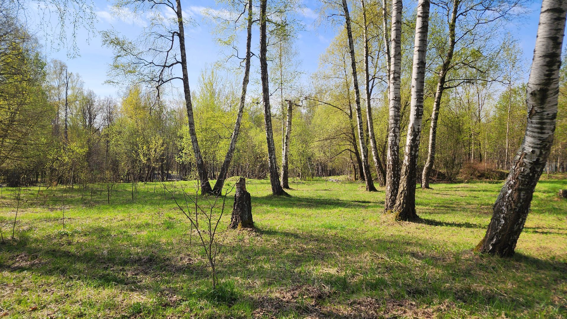 ступино, парки подмосковья, природа подмосковья, перелетные птицы,