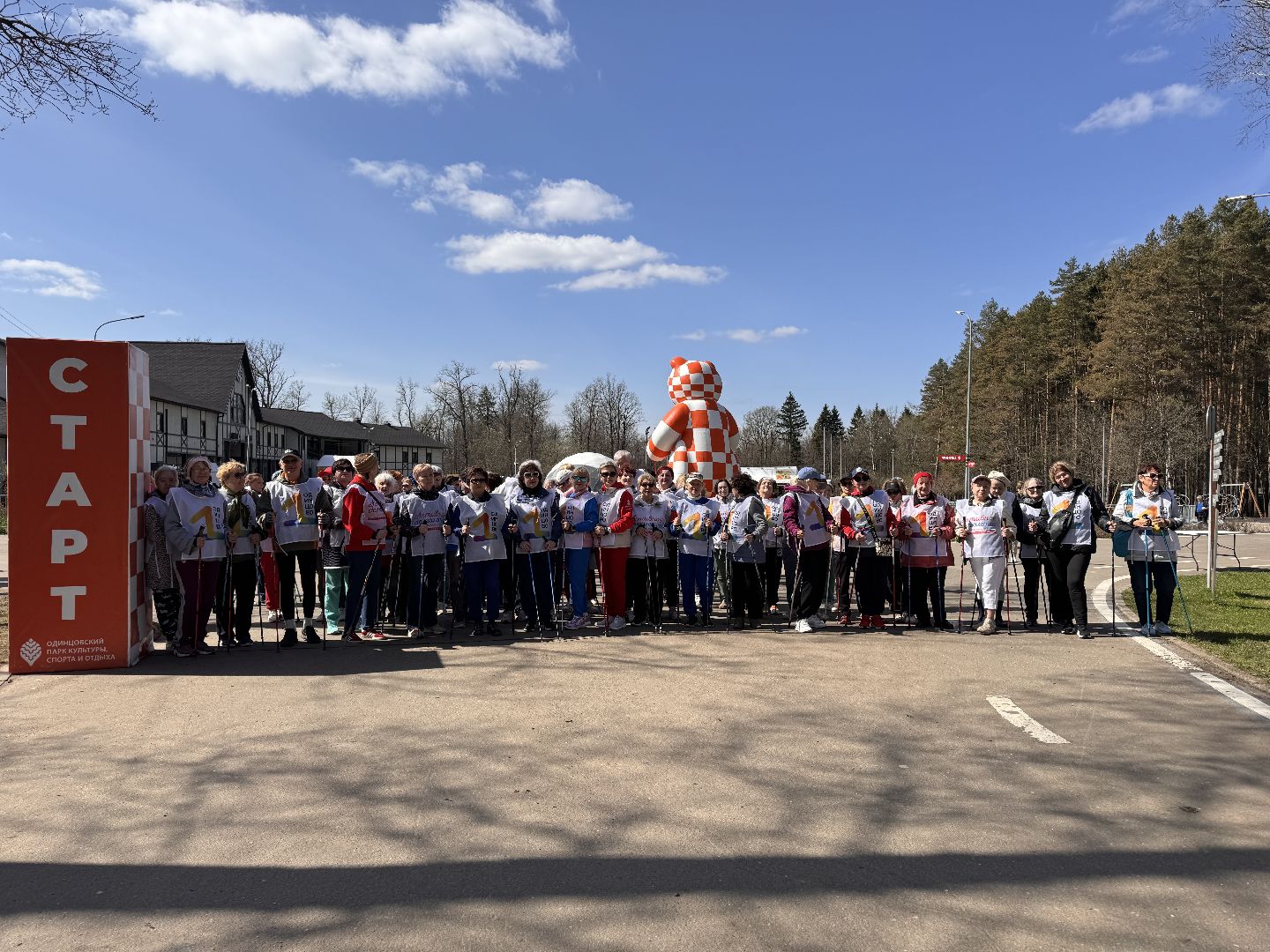 Одинцово, активное долголетие, подмгсковье,