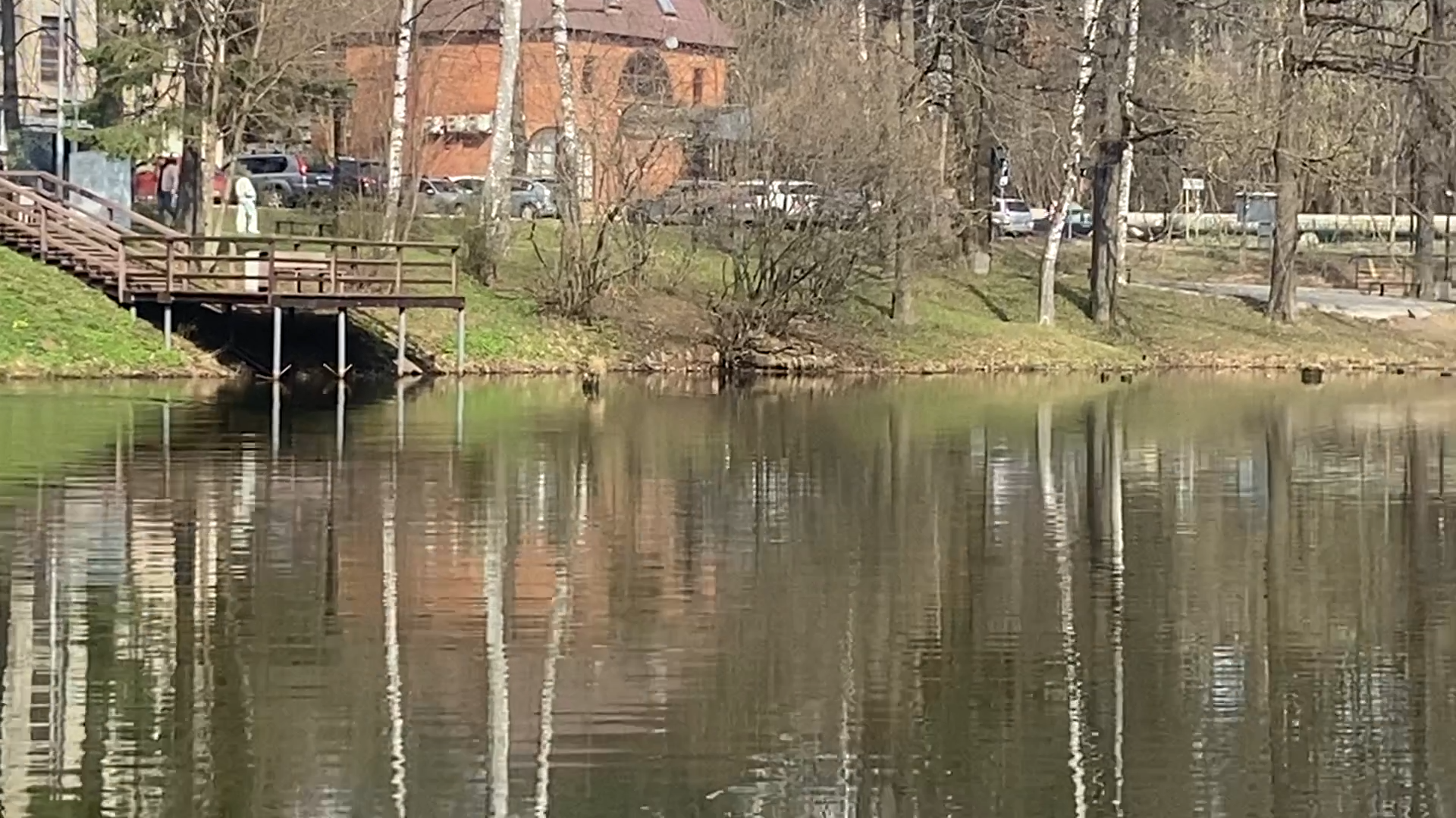 день добрых дел, власиха благоустройство, общегородской субботник, Сад победы, Лес победы,