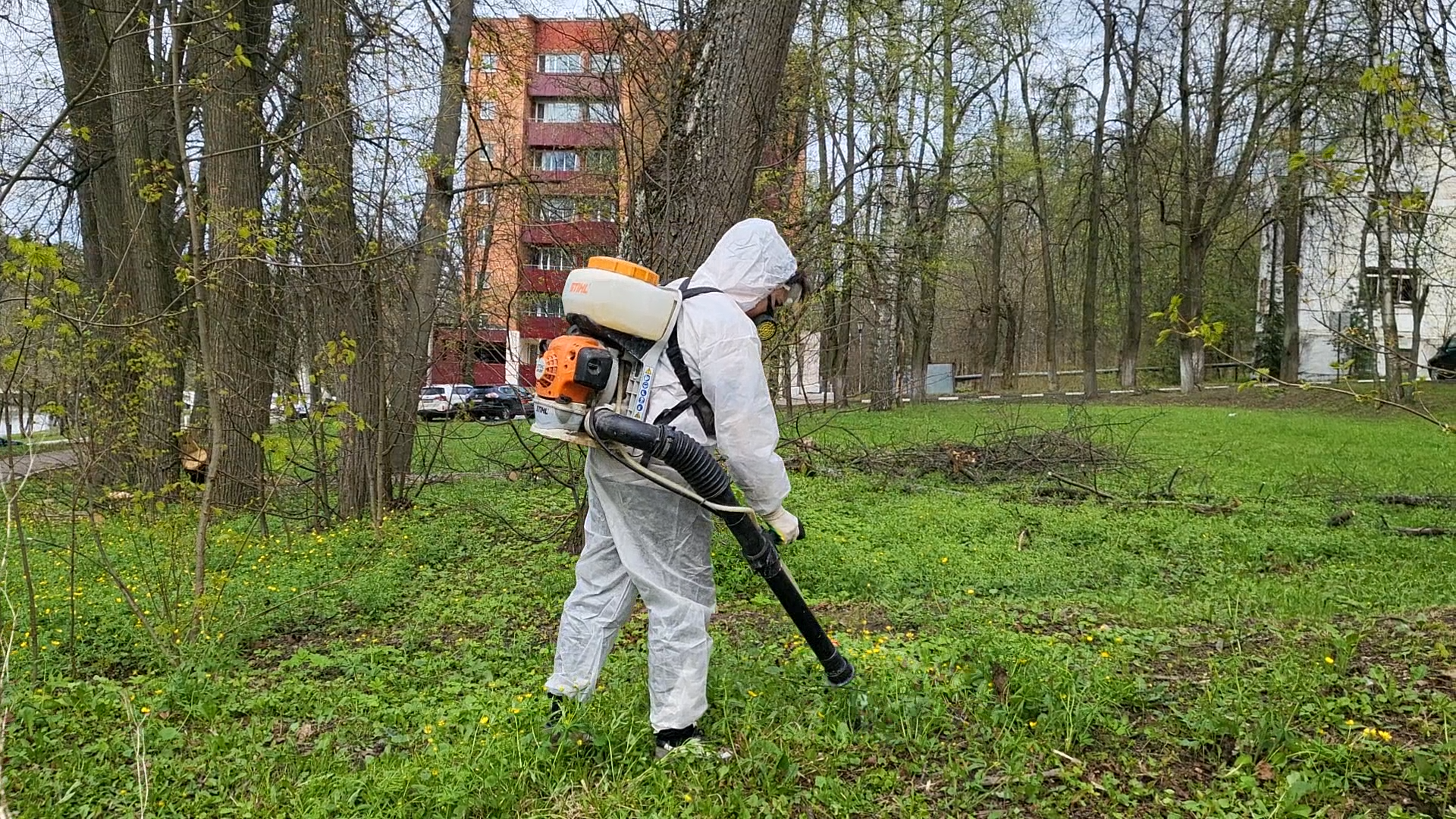 день добрых дел, власиха благоустройство, общегородской субботник, Сад победы, Лес победы,