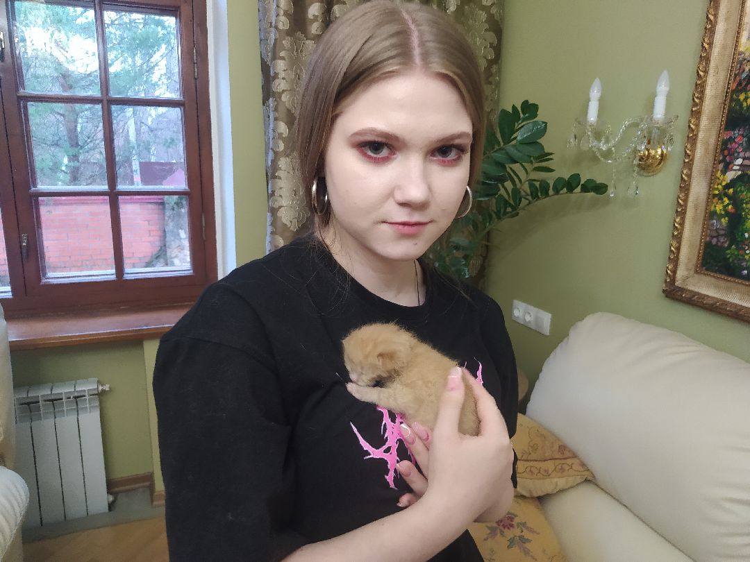 #Котята #Снегири #Подмосковье #Спасение #Спасениекотят #Кошки #Коты