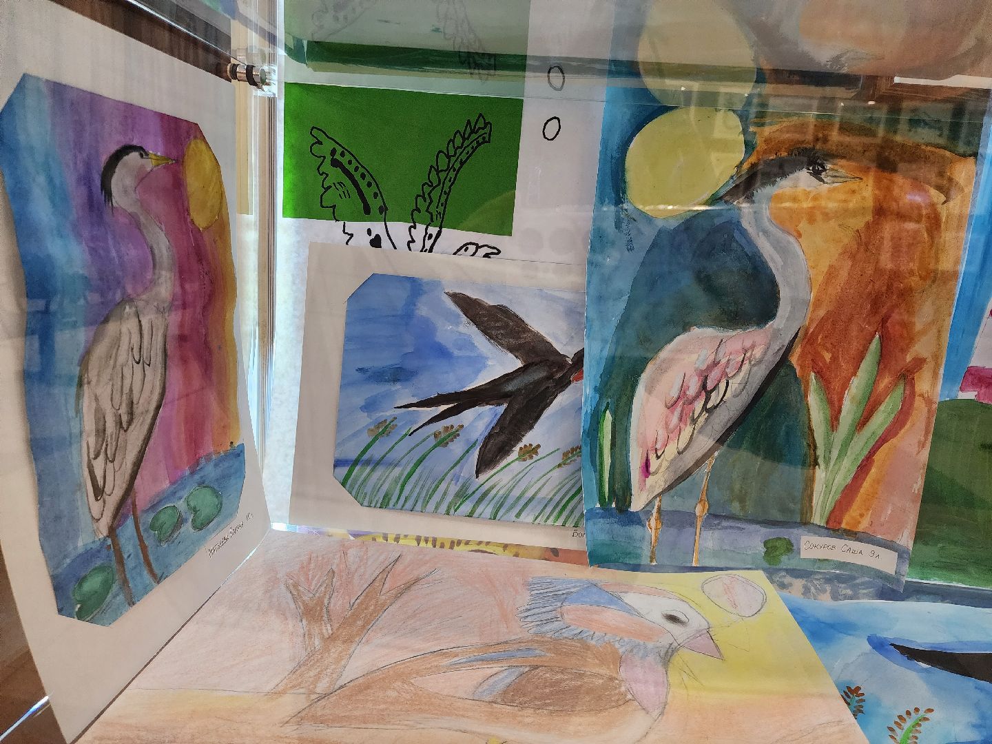 Детский рисунок, Птицы, Выставка, лобня,