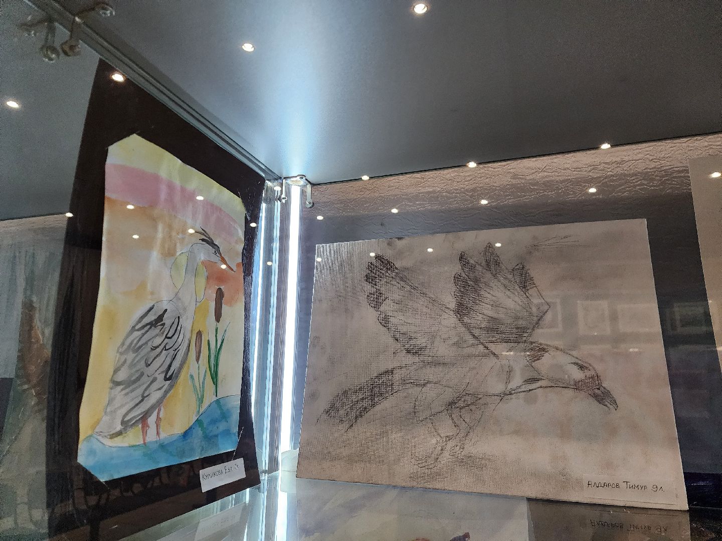 Детский рисунок, Птицы, Выставка, лобня,