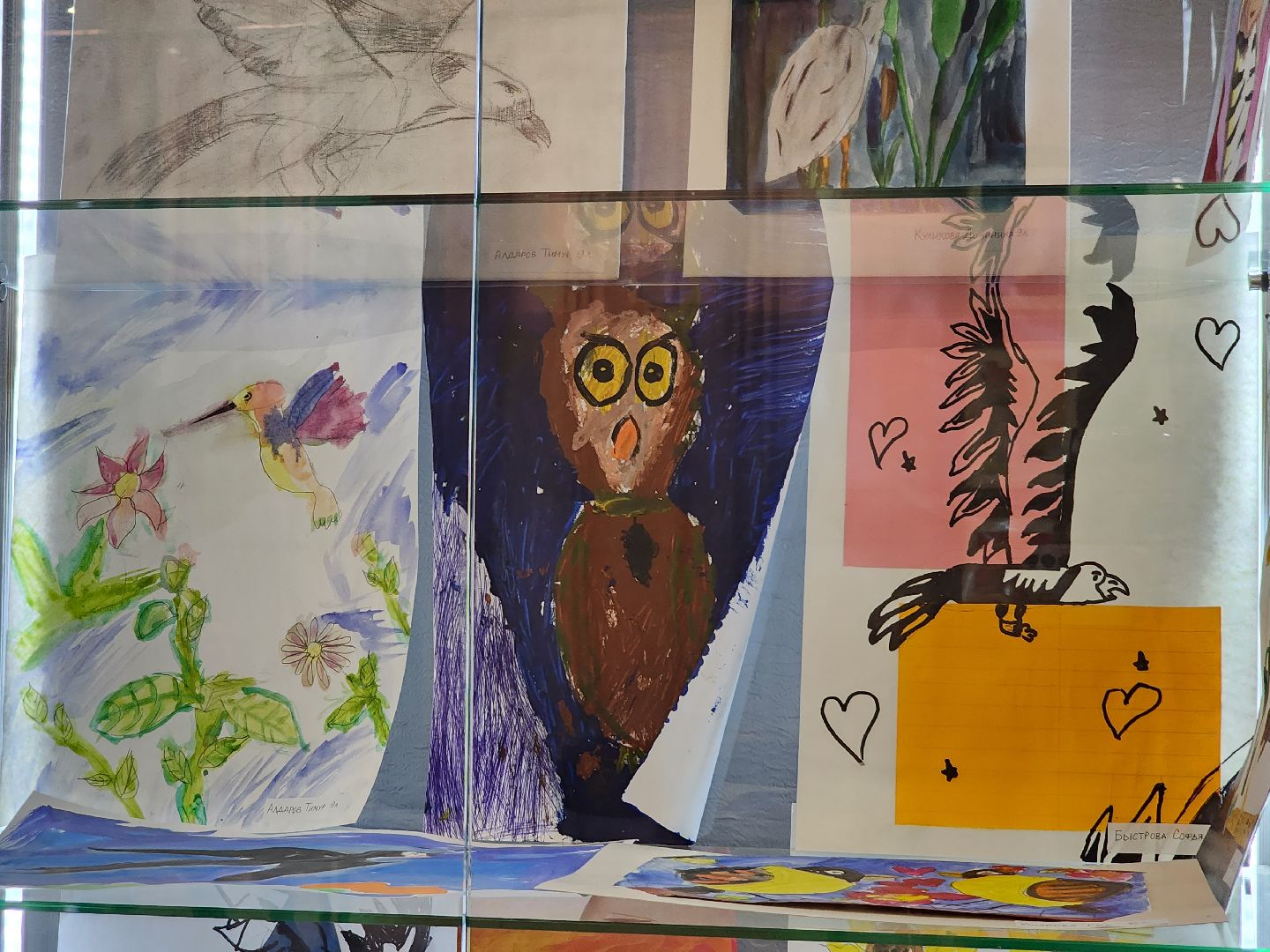Детский рисунок, Птицы, Выставка, лобня,