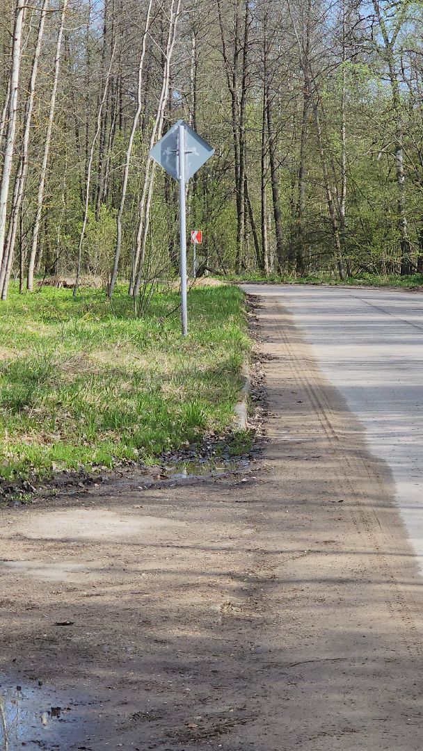 серпухов, оболенск, тротуар, жители, выездная администрация,