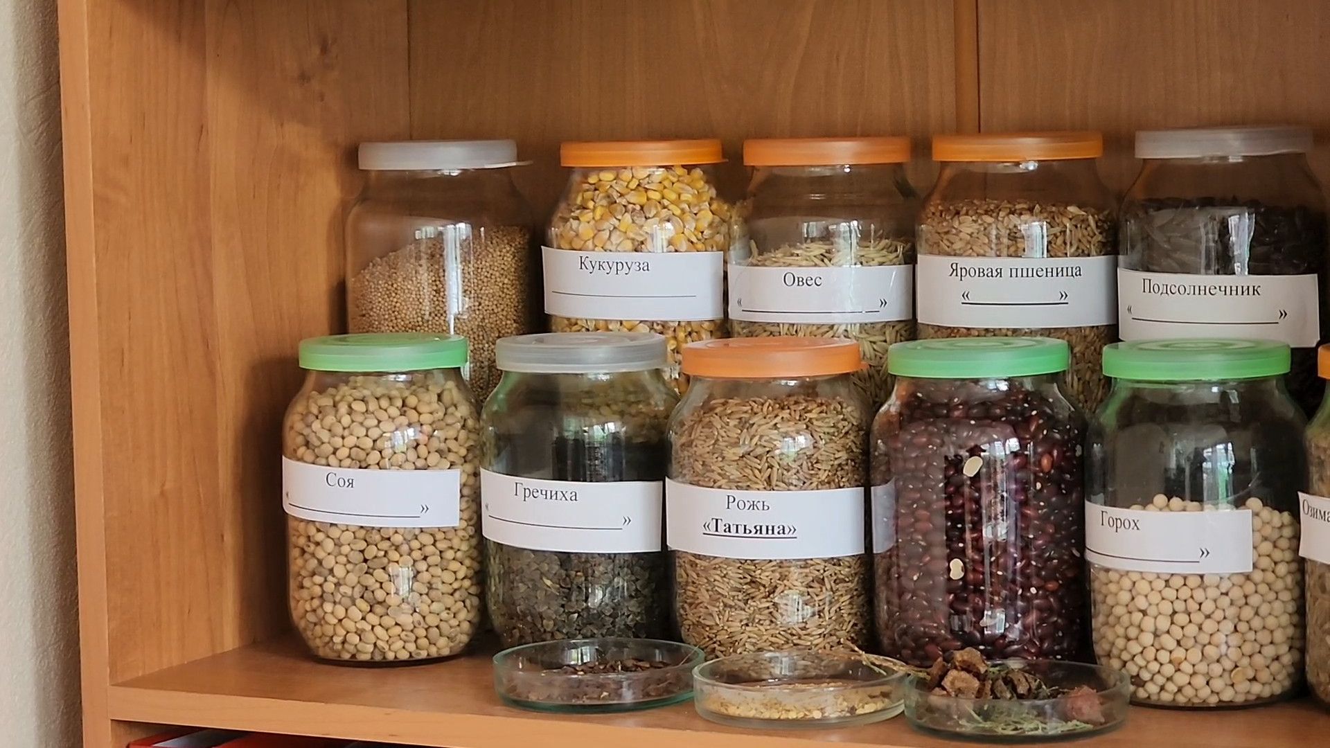 ступино, агроклассы подмосковья, образование подмосковья,