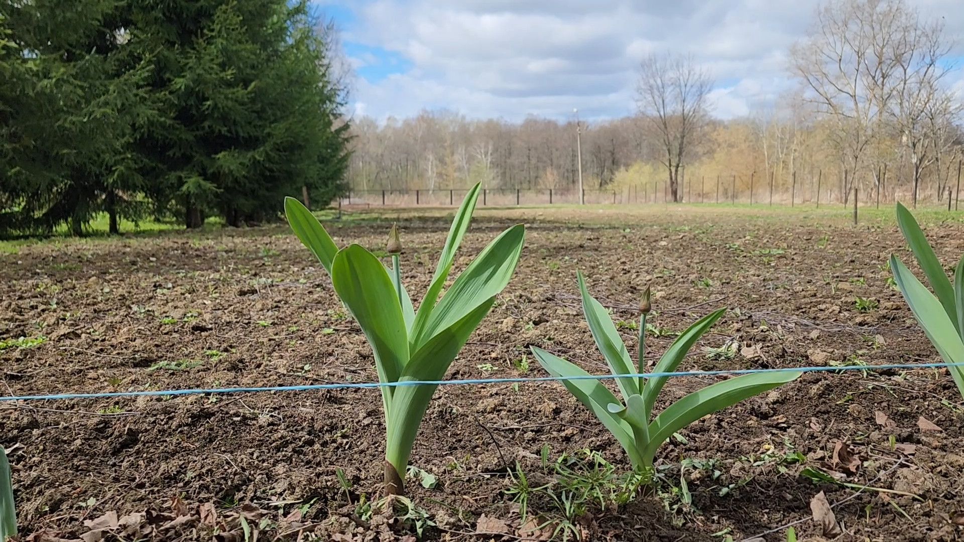 ступино, агроклассы подмосковья, образование подмосковья,