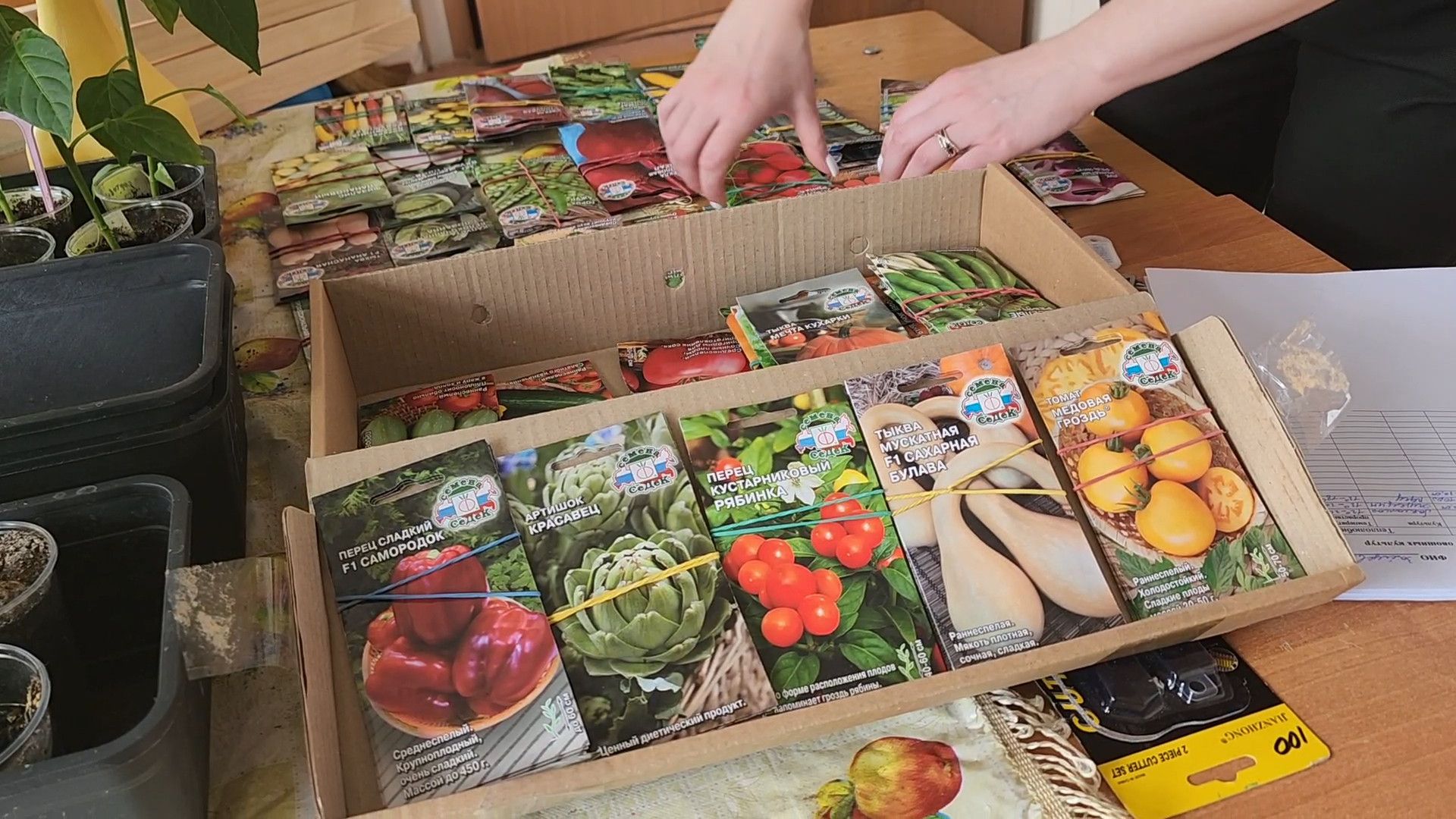 ступино, агроклассы подмосковья, образование подмосковья,