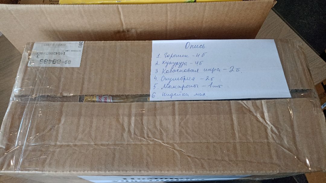 Реутов, СВО, спецоперация, Николай Басков, пенсионерка, помощь