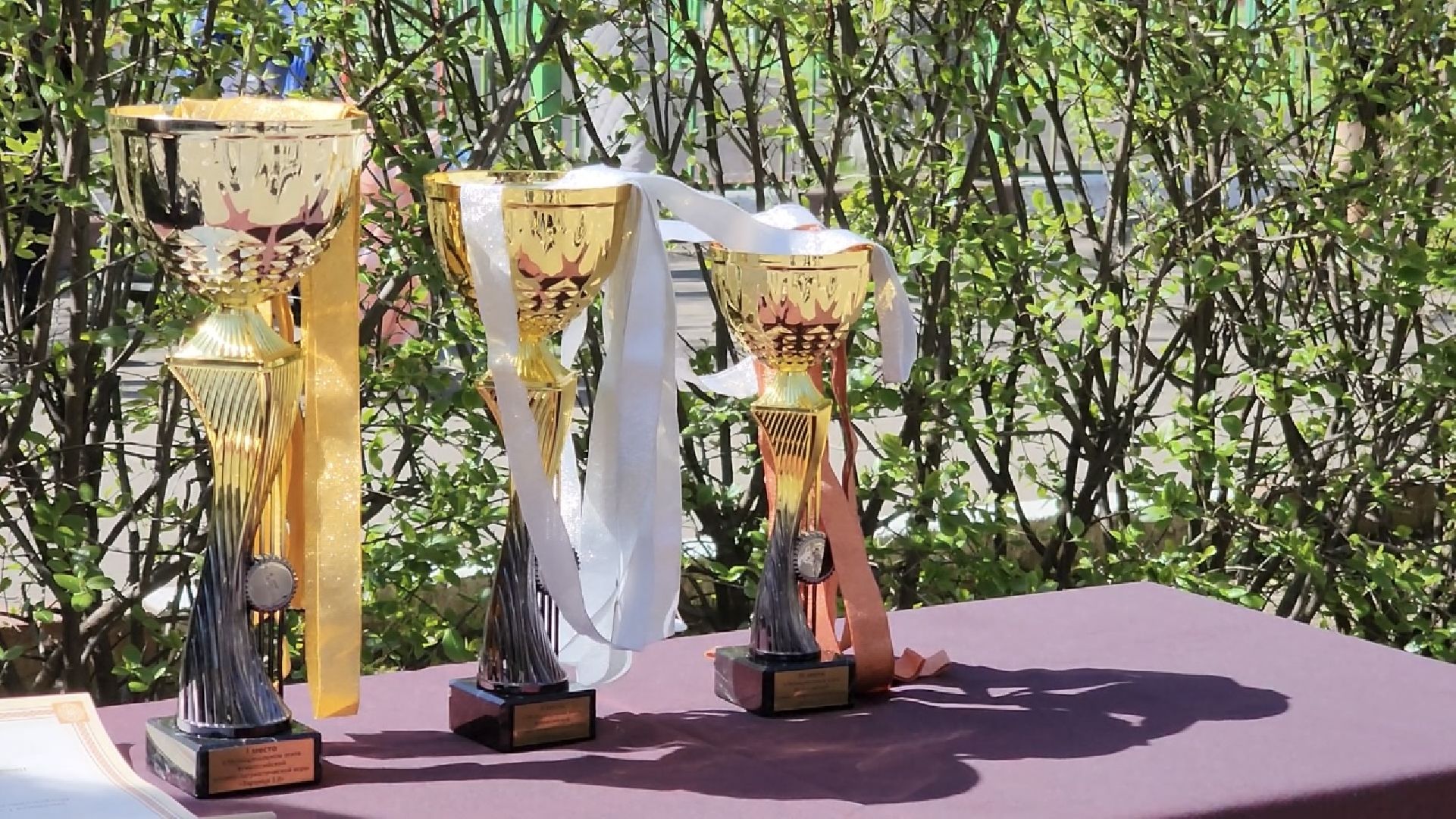 химки, зарница, военно-патриотическая игра, соревнования, школьники,