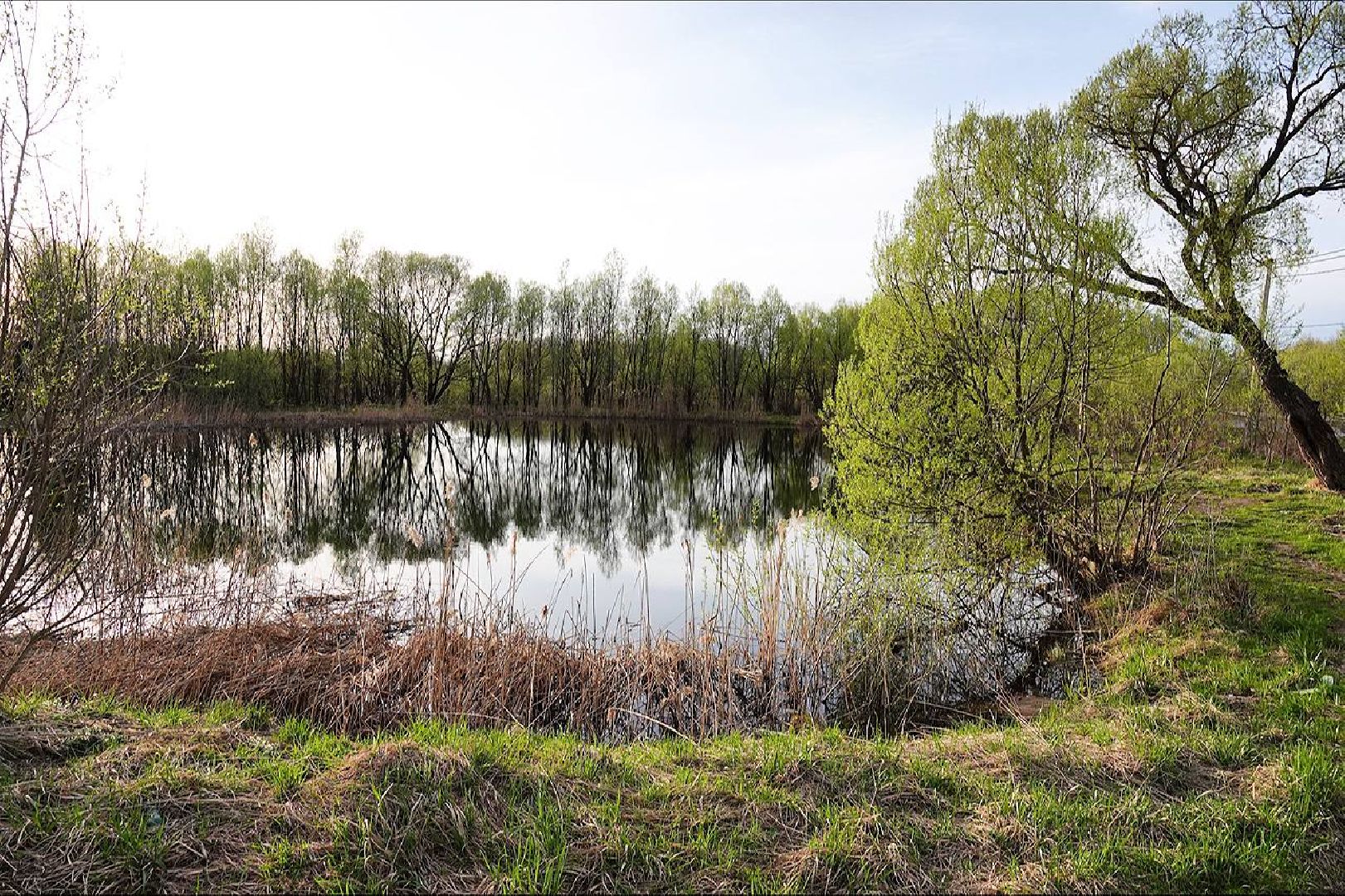 Выездная администрация, Пляжный сезон, Прием граждан, Диалог с жителями, Глава округа, Депутаты, Граждане,