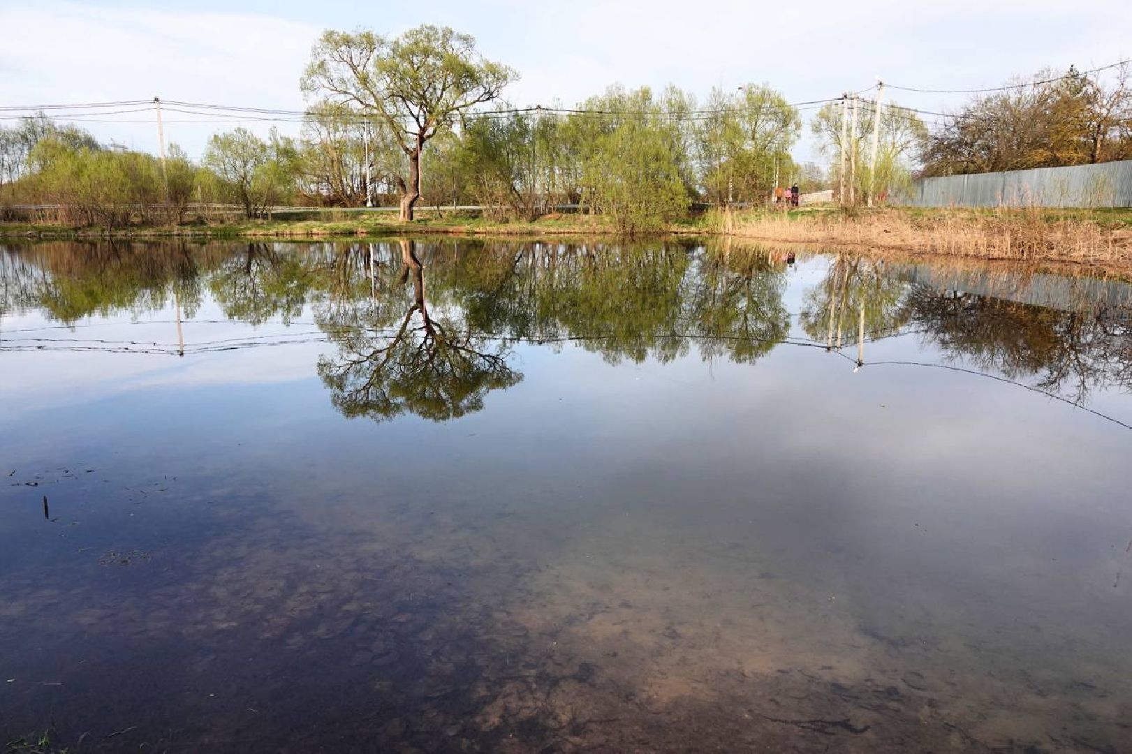 Выездная администрация, Пляжный сезон, Прием граждан, Диалог с жителями, Глава округа, Депутаты, Граждане,