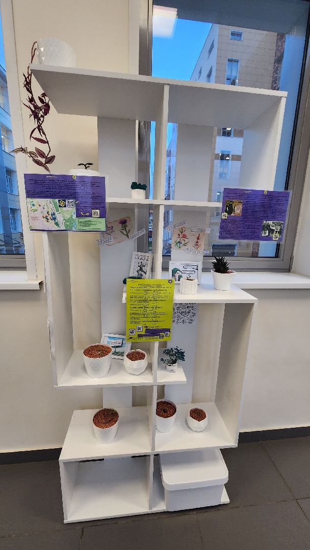 долгопрудный, мфти, Физтех сад, растения, ботаника, теплица, экология,