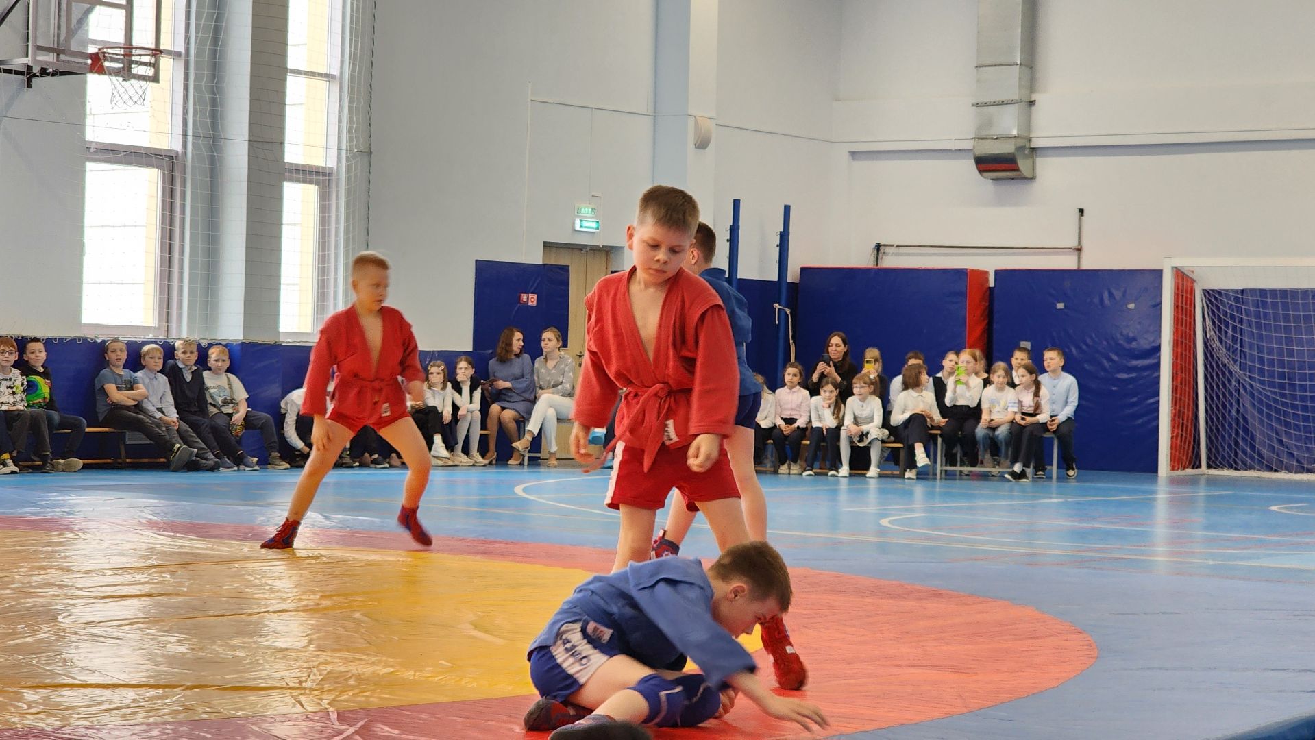 Подольск, Самбо, Спорт, Самбо в школу,