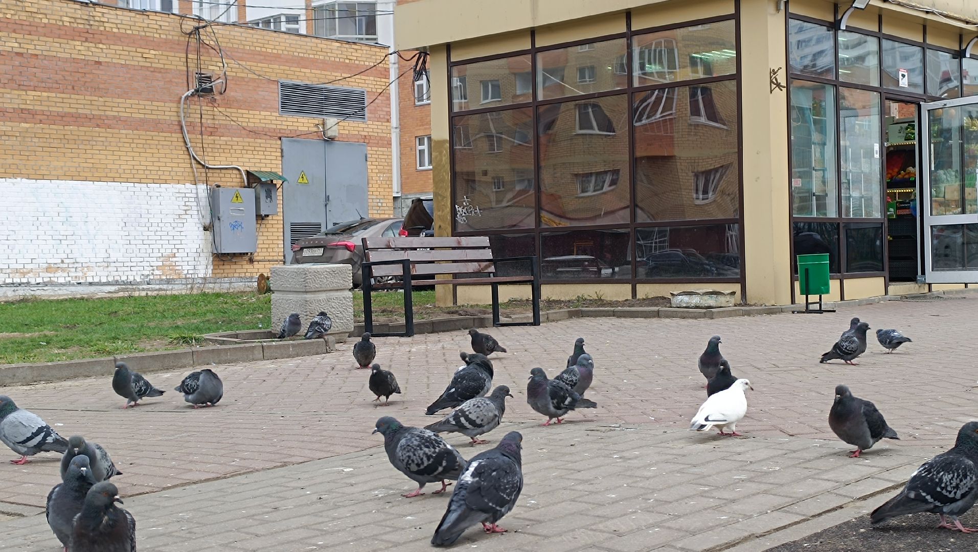 скамейки, сквер, лобня,