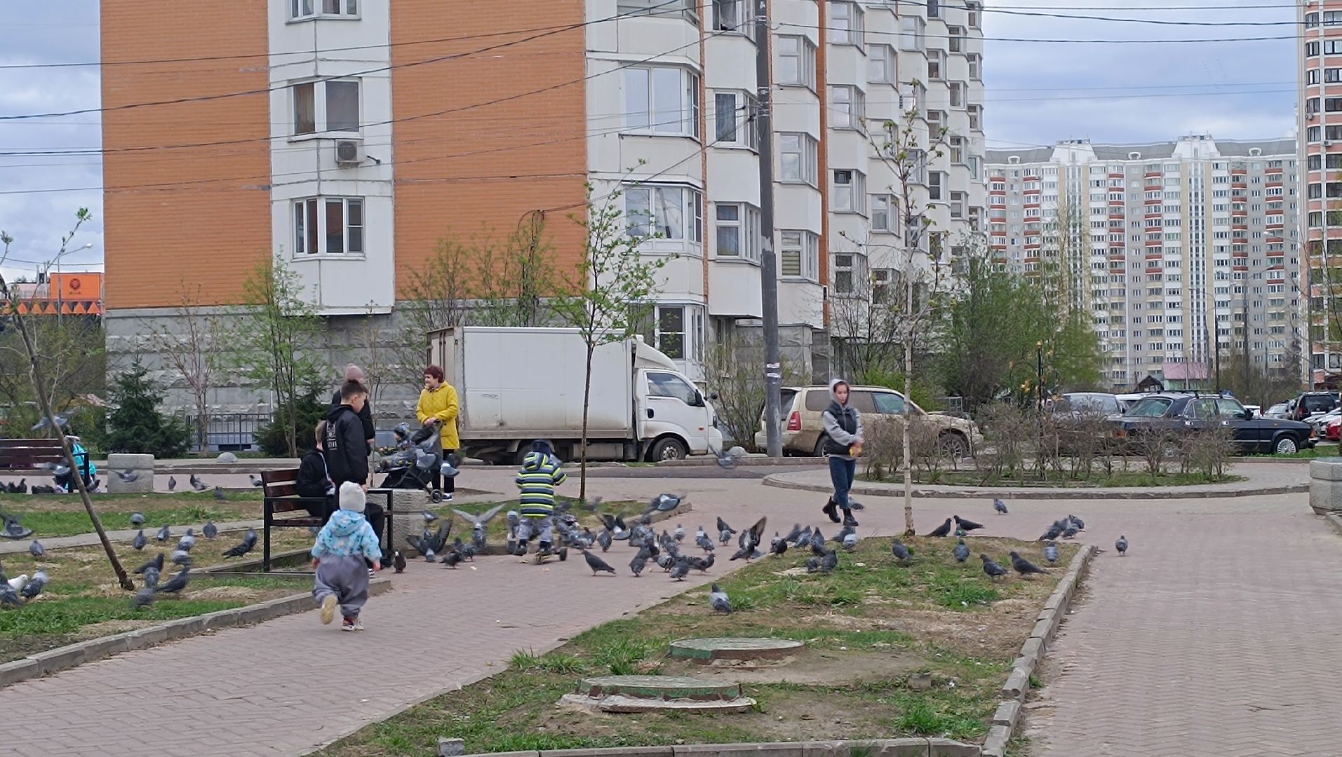 скамейки, сквер, лобня,