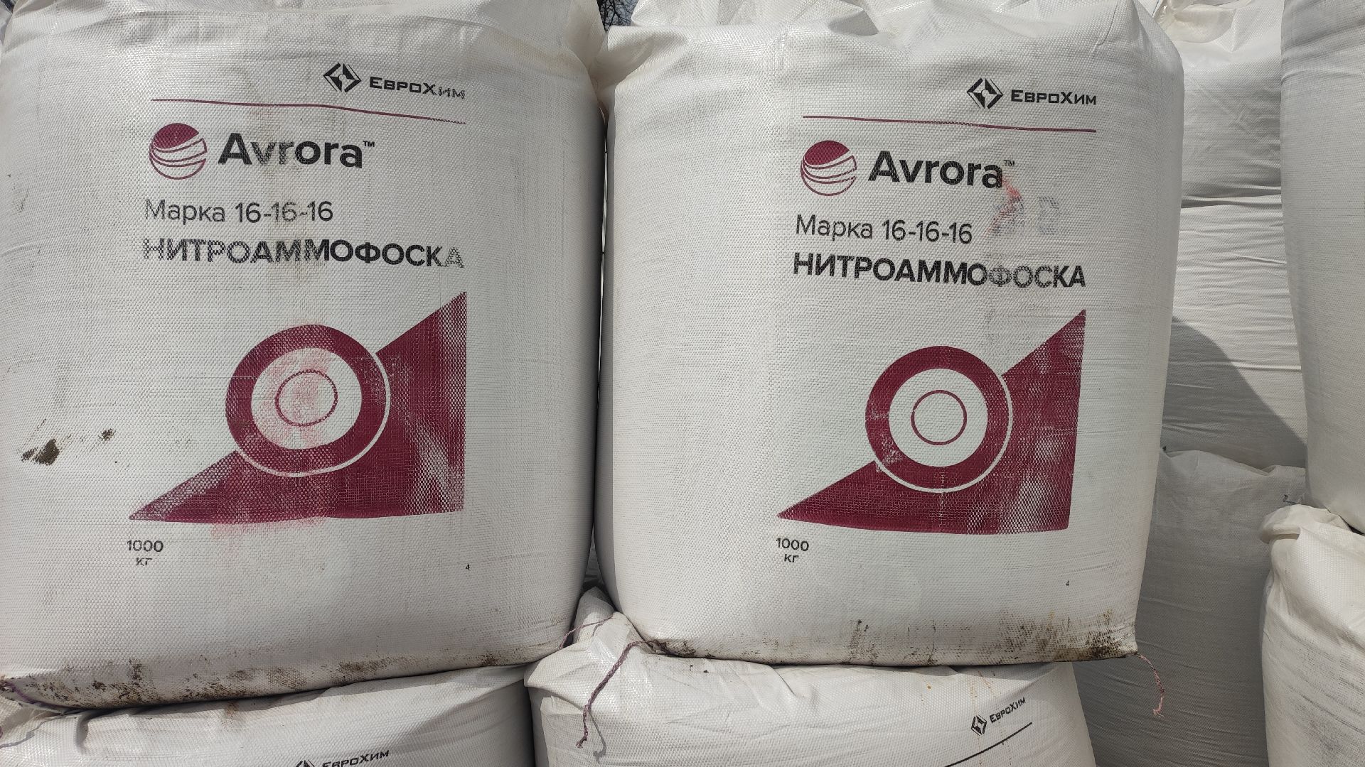 волоколамск, сельское хозяйство, молочный комплекс, животноводство, рапс, кукуруза, пшеница, рожь, молоко,