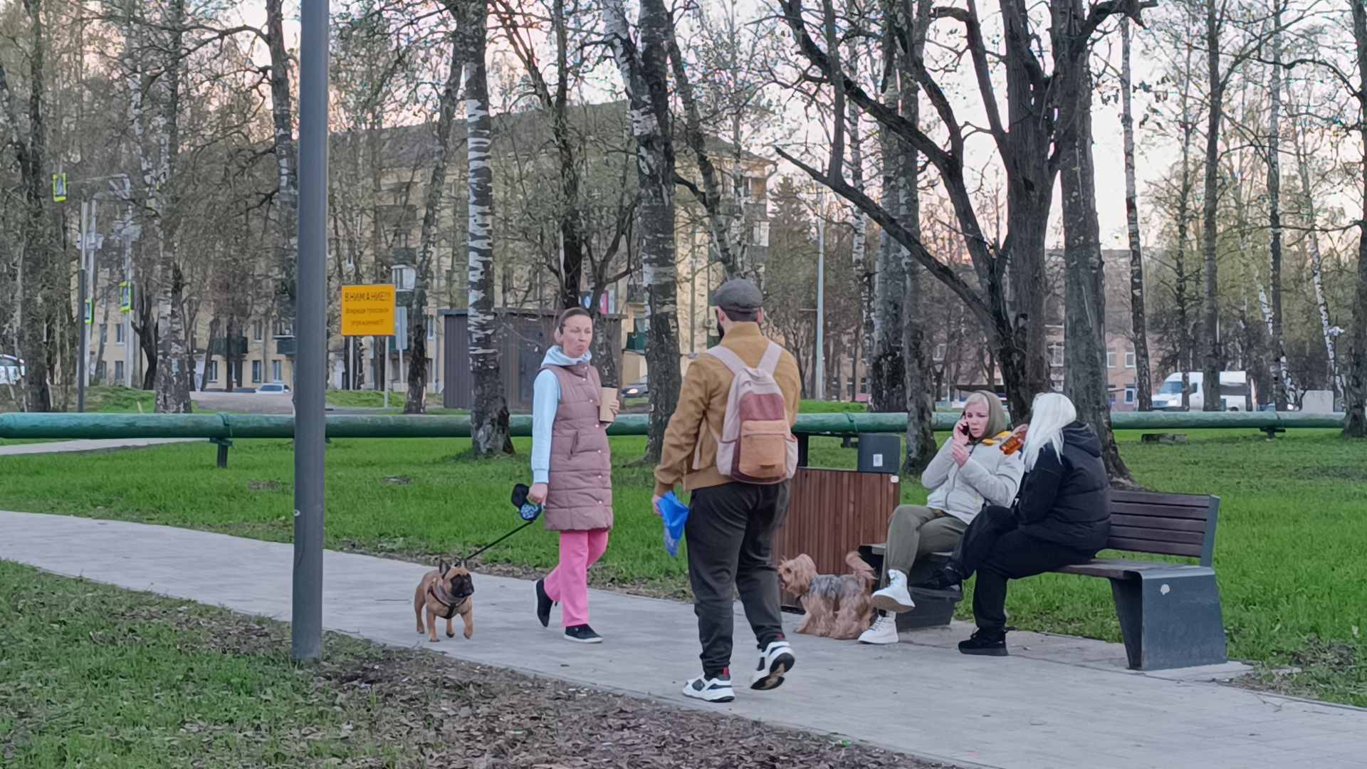 собака, клещи, парк, акция,