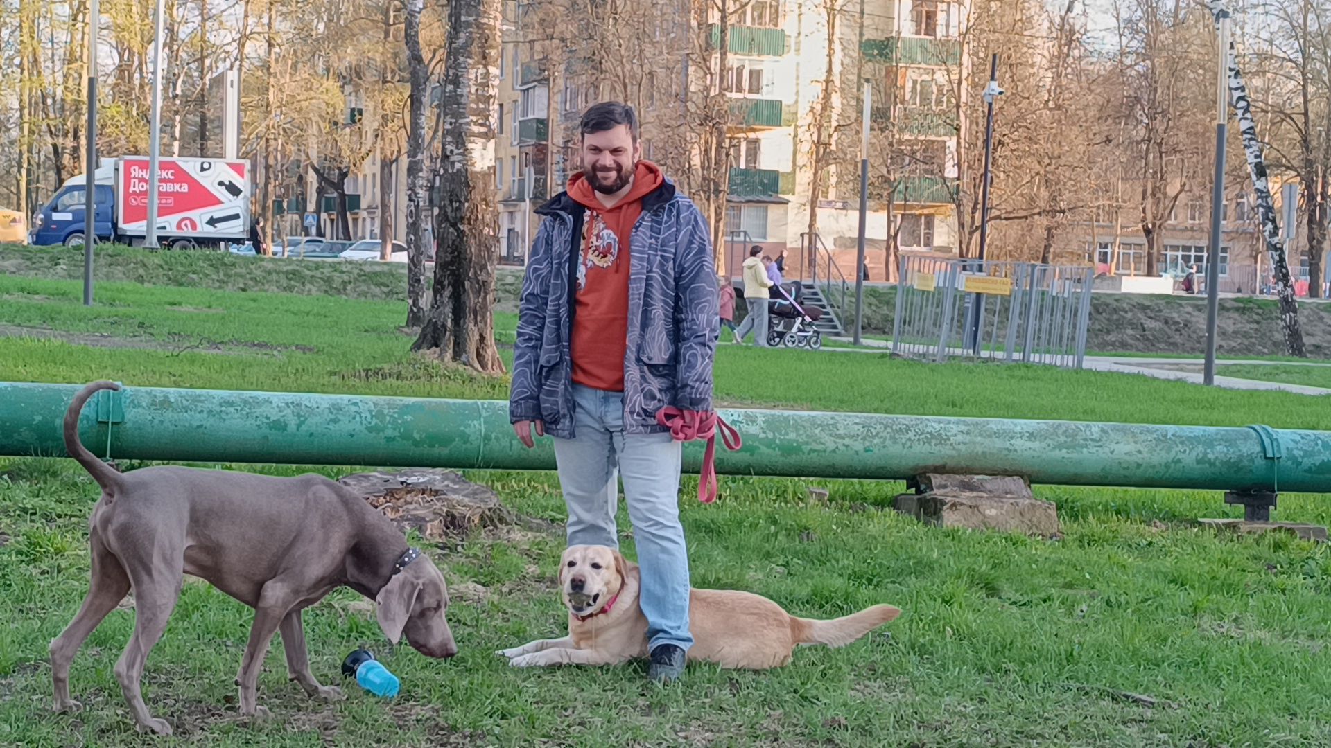 собака, клещи, парк, акция,