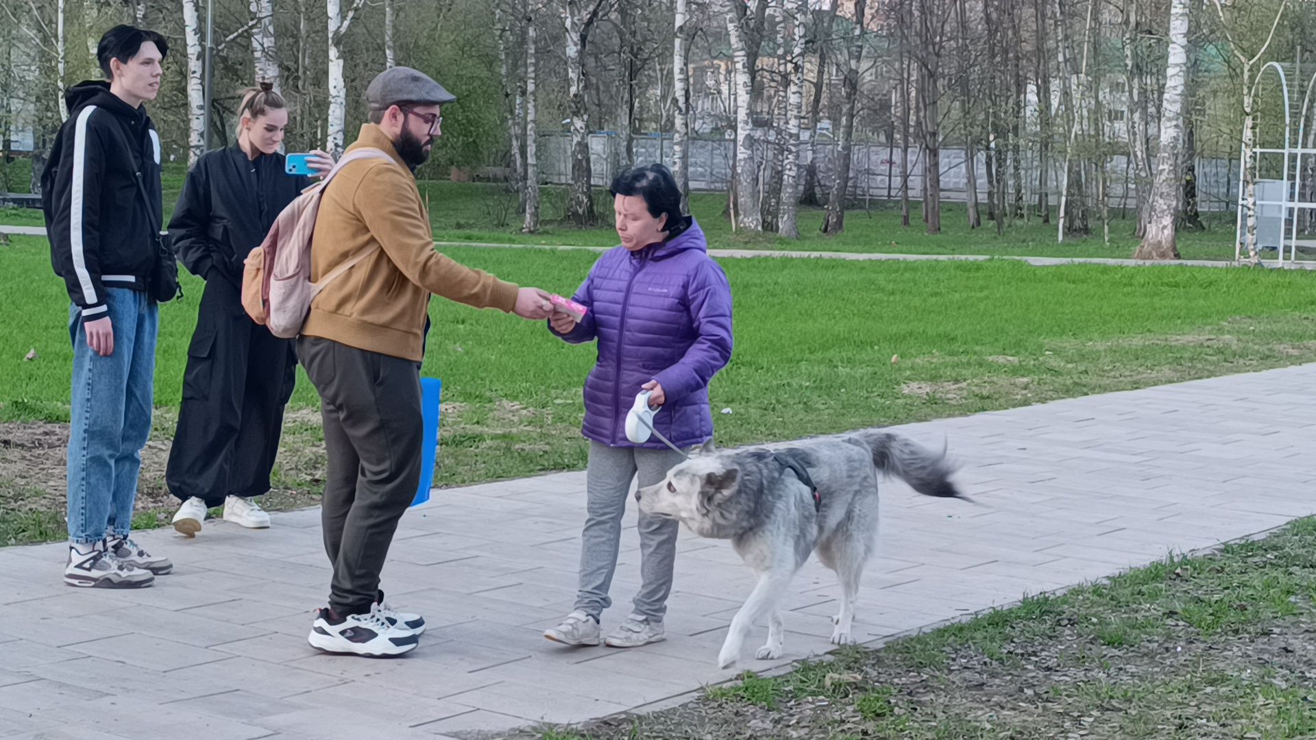 собака, клещи, парк, акция,