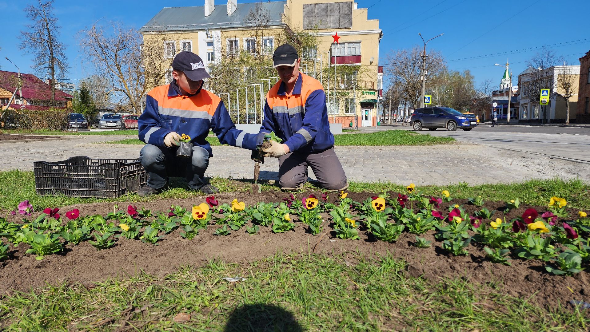 Егорьевск, Цветы, Благоустройство, Подмосковье, московская область,