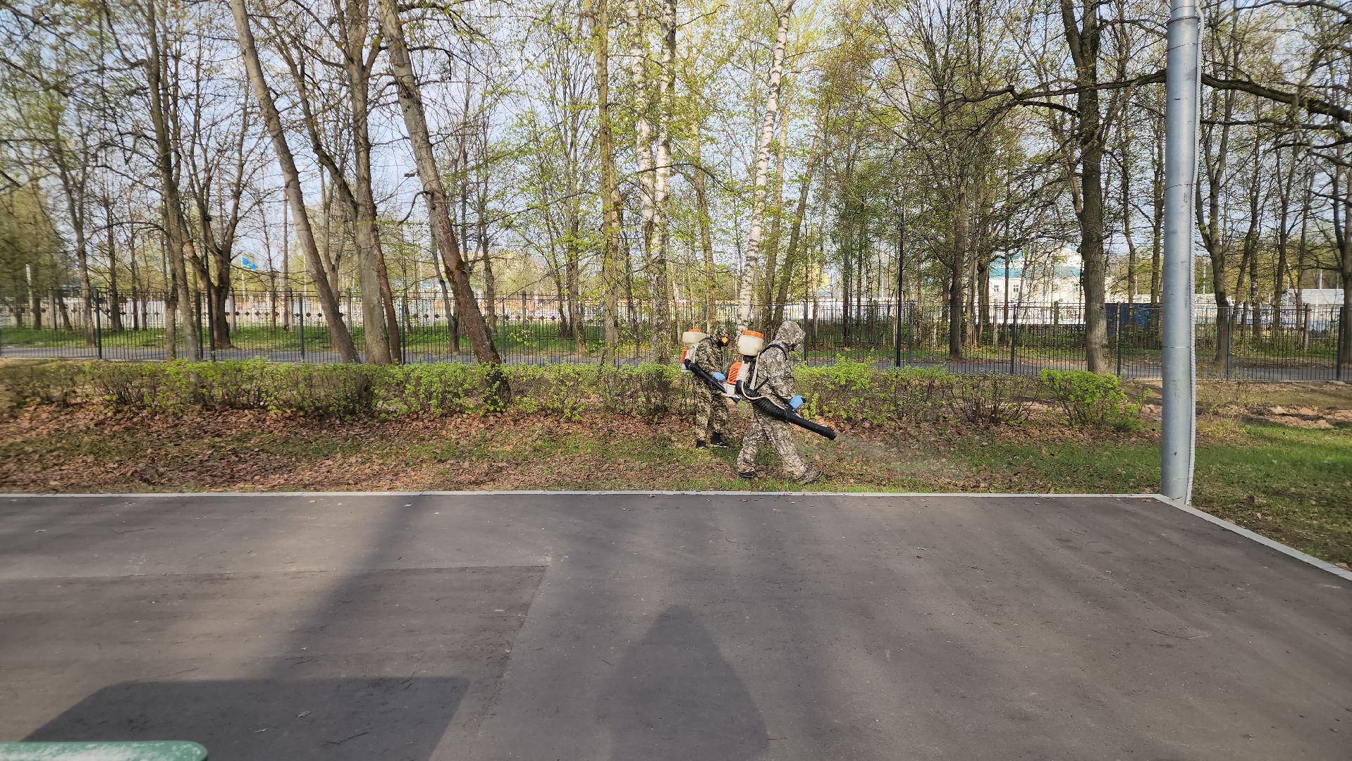 ступино, парки подмосковья, обработка от клещей,