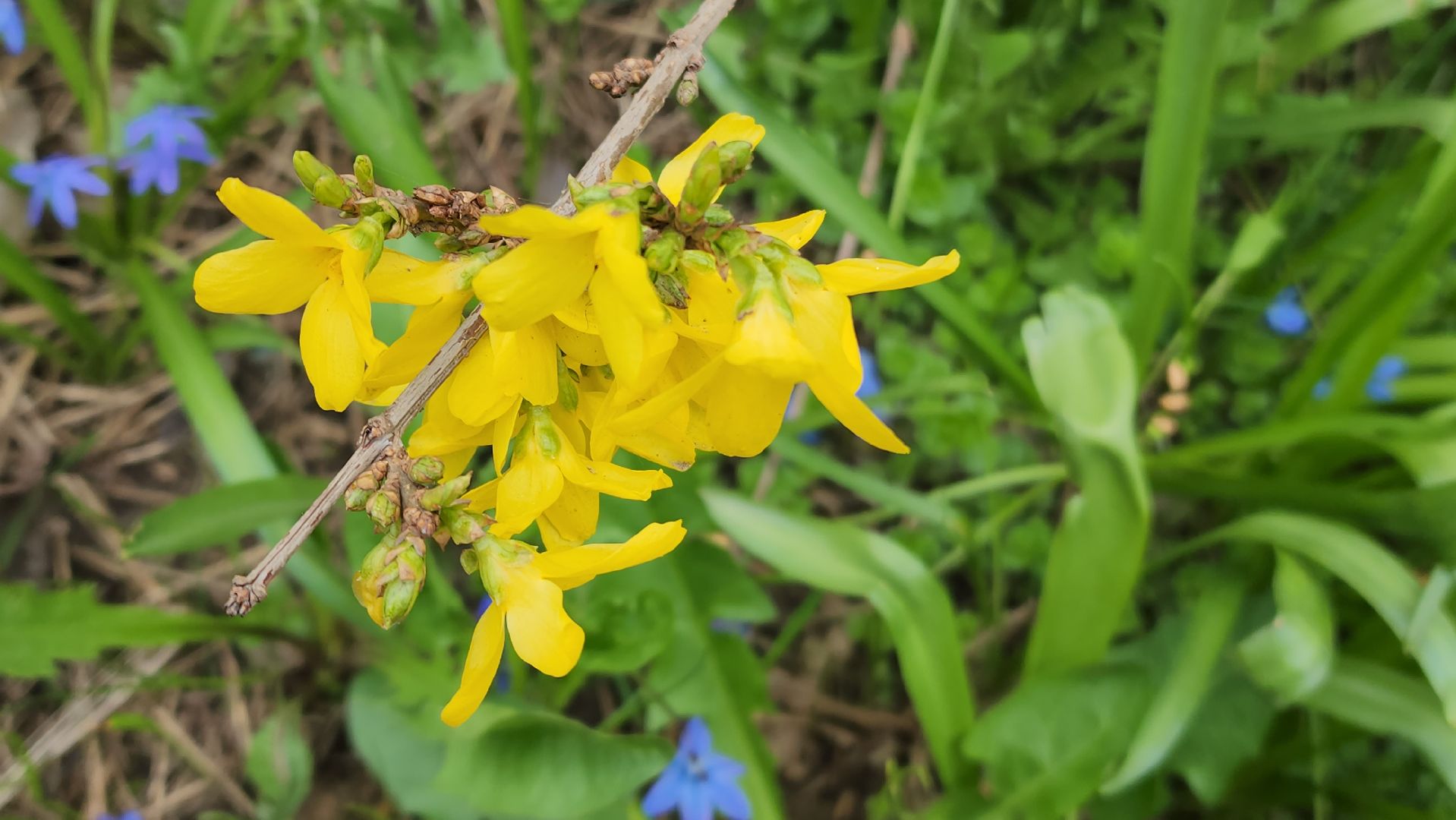 аллергия под контролем, Врач, долгопрудный