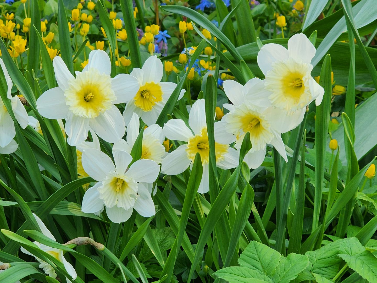 аллергия под контролем, Врач, долгопрудный