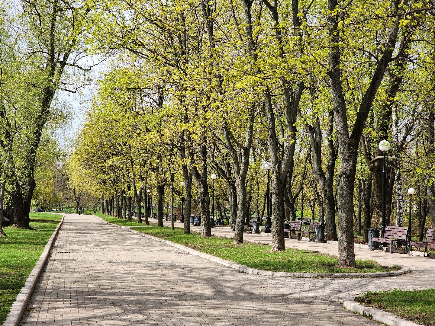 аллергия под контролем, Врач, долгопрудный
