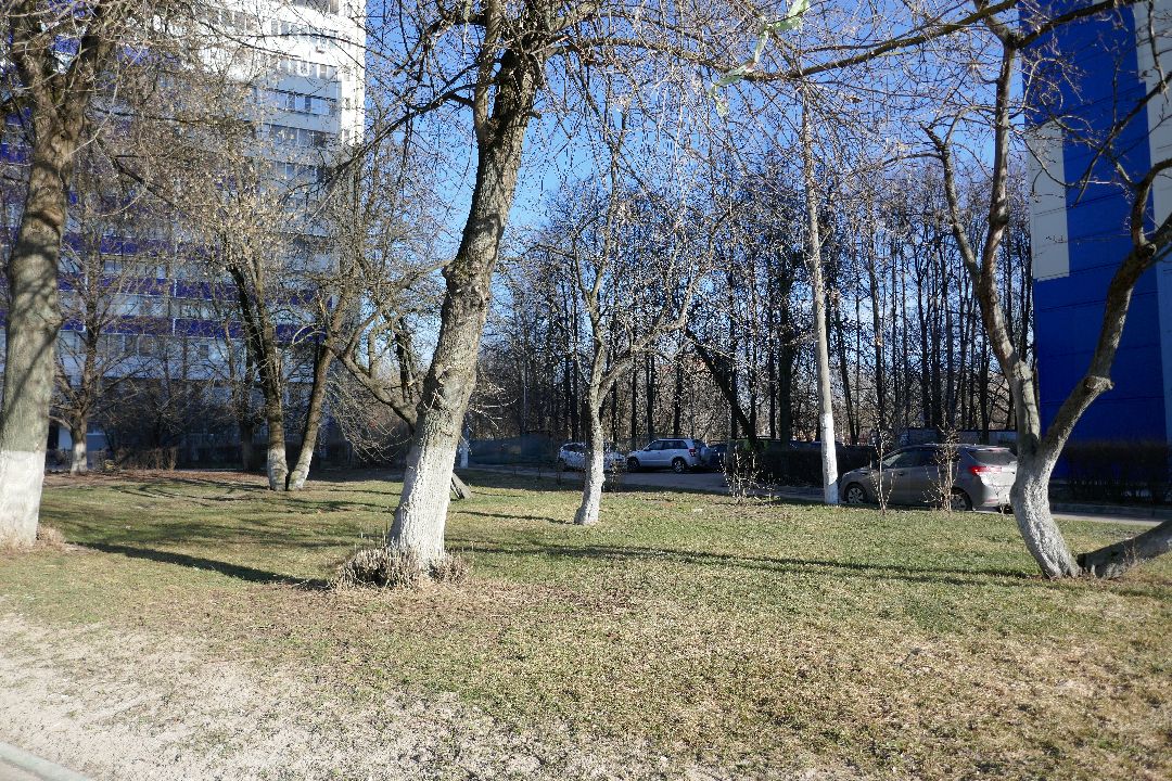 Подольск, благоустройство, порядок, уборка