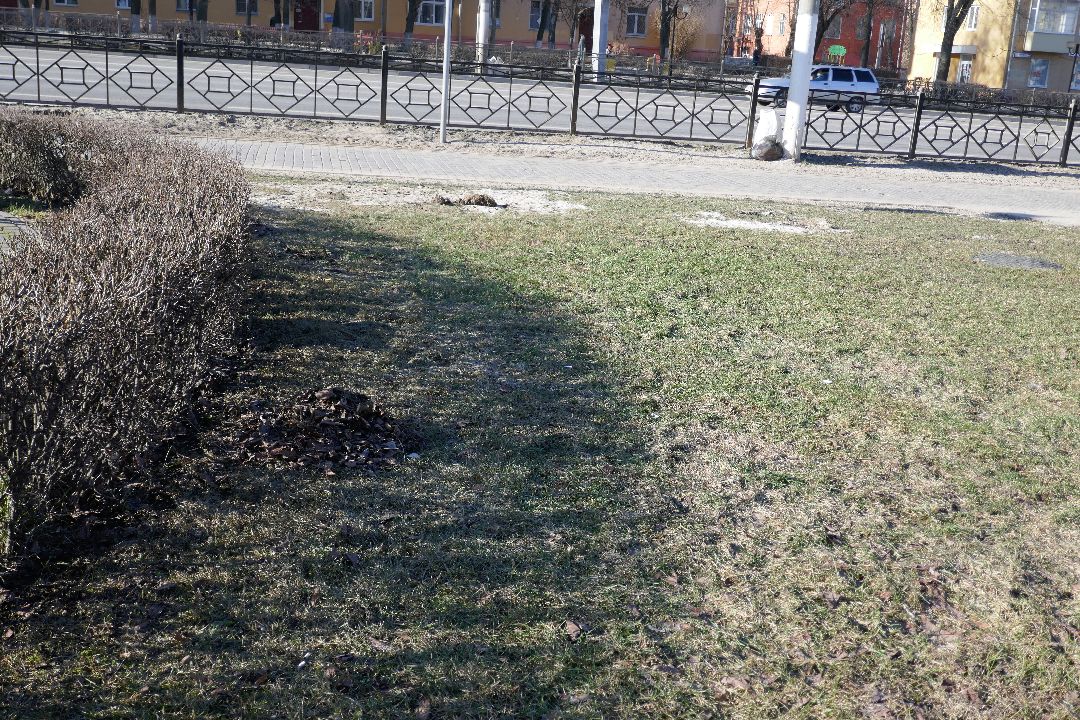 Подольск, благоустройство, порядок, уборка