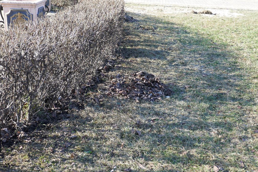 Подольск, благоустройство, порядок, уборка