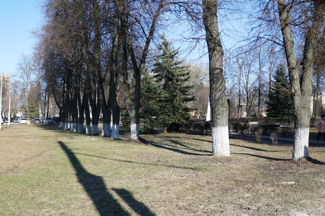 Подольск, благоустройство, порядок, уборка