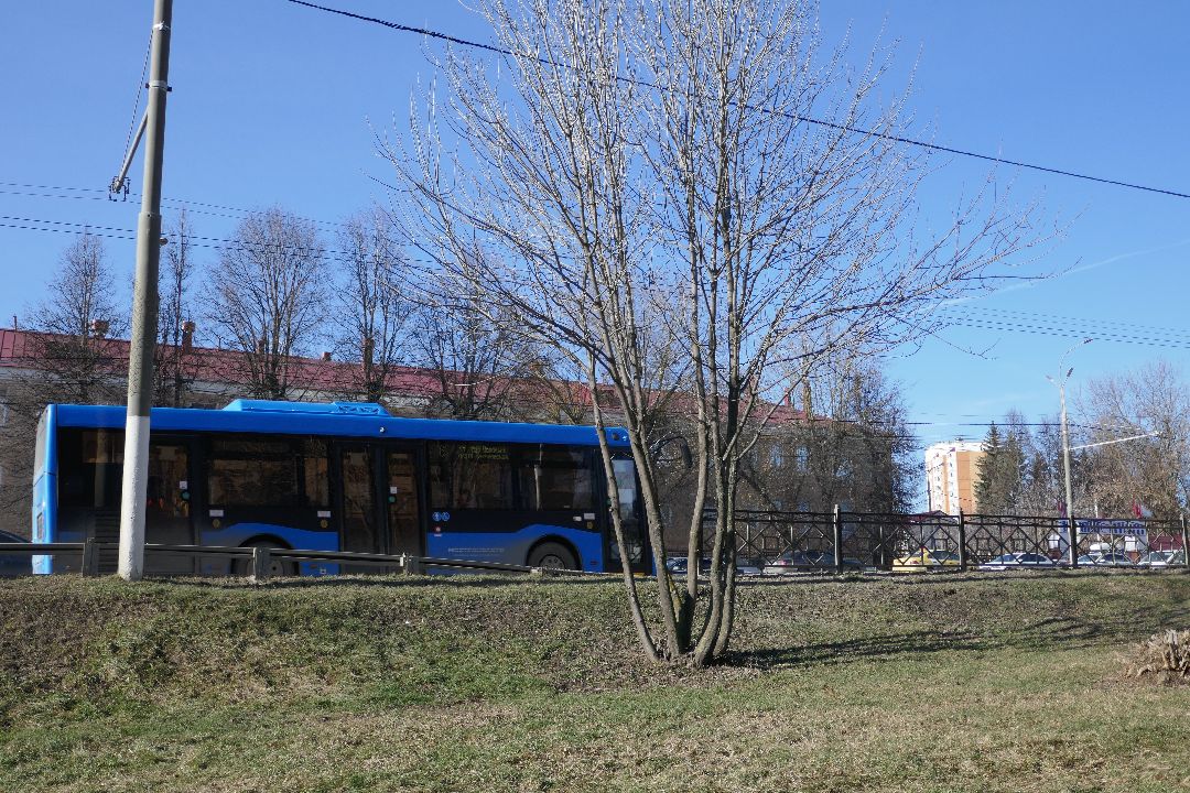 Подольск, благоустройство, порядок, уборка