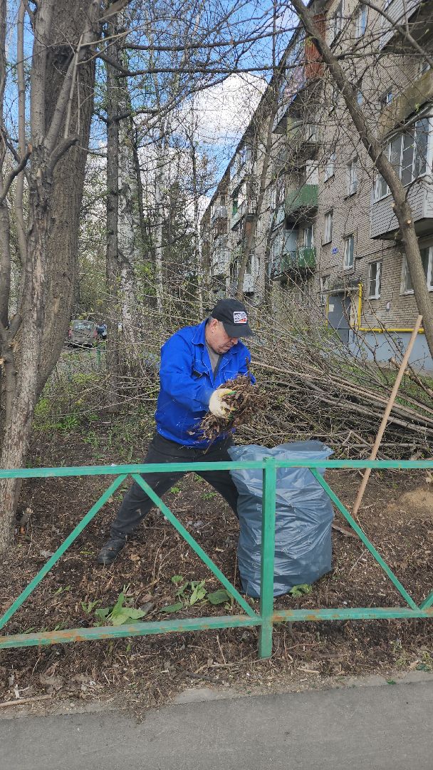 пушкино, субботник, благоустройство, уборка дворов, деревья,