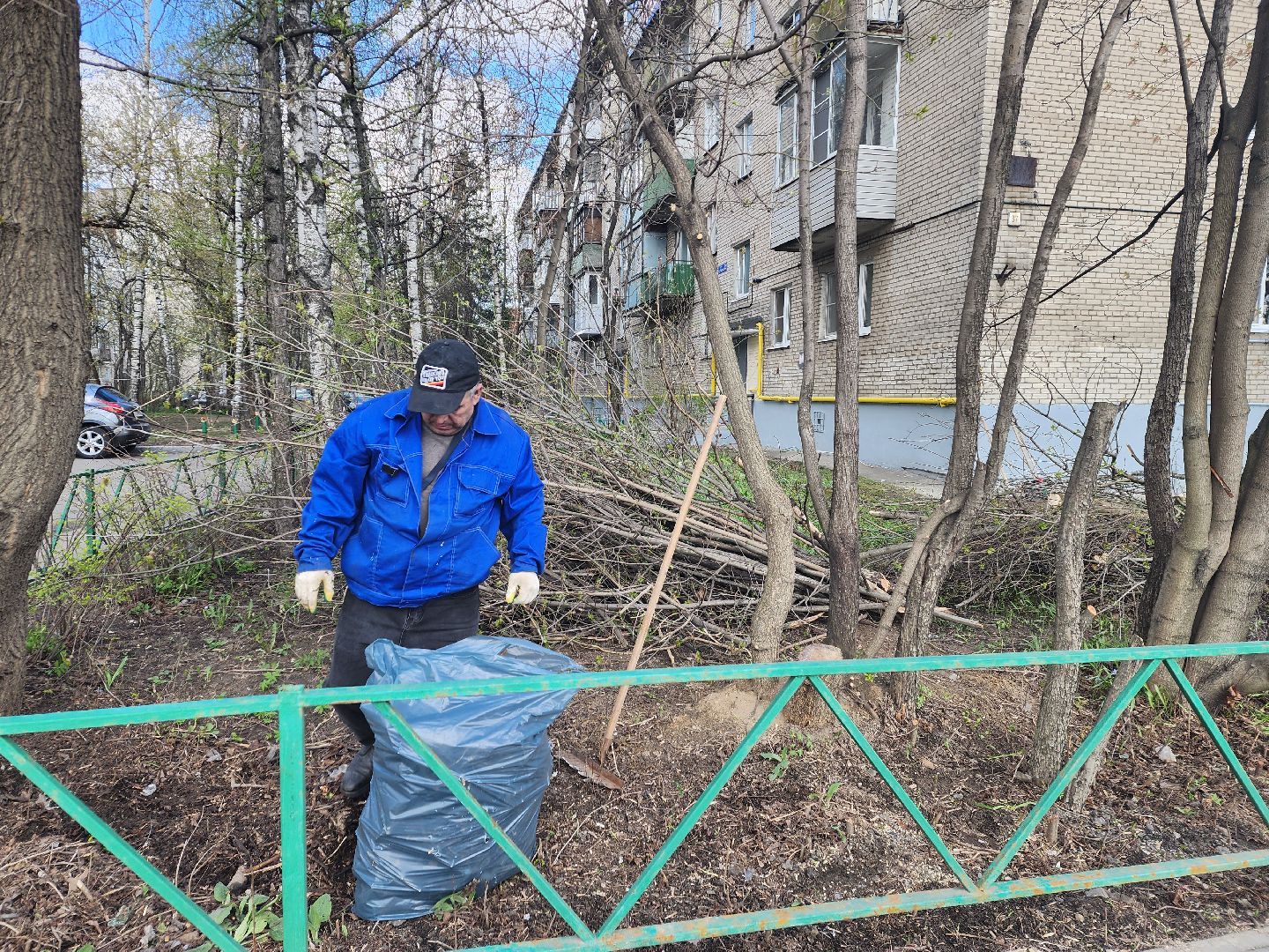 пушкино, субботник, благоустройство, уборка дворов, деревья,