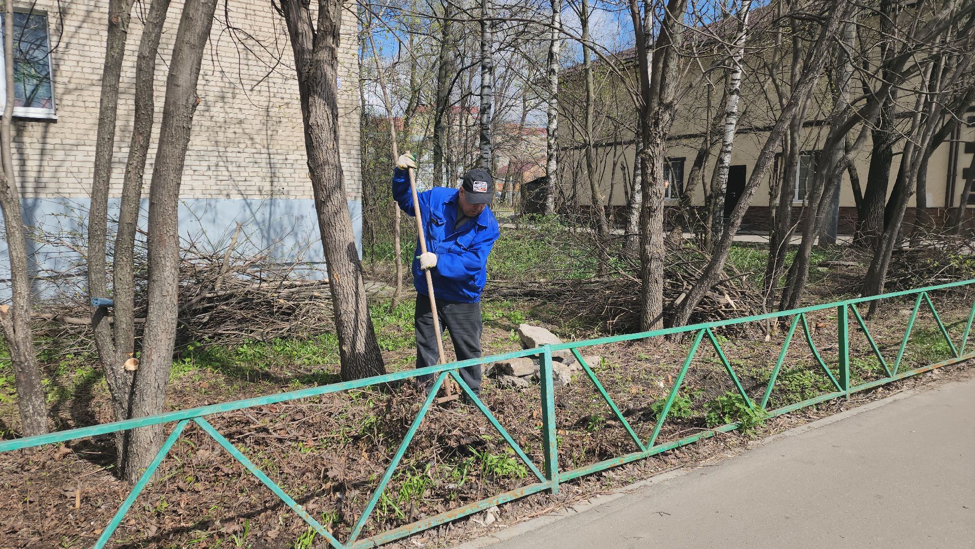 пушкино, субботник, благоустройство, уборка дворов, деревья,