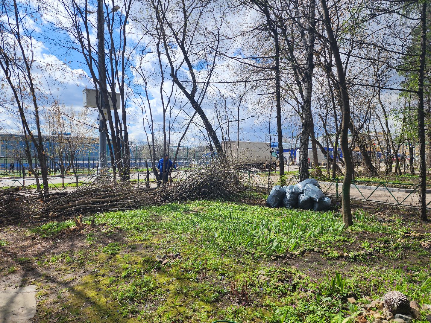 пушкино, субботник, благоустройство, уборка дворов, деревья,