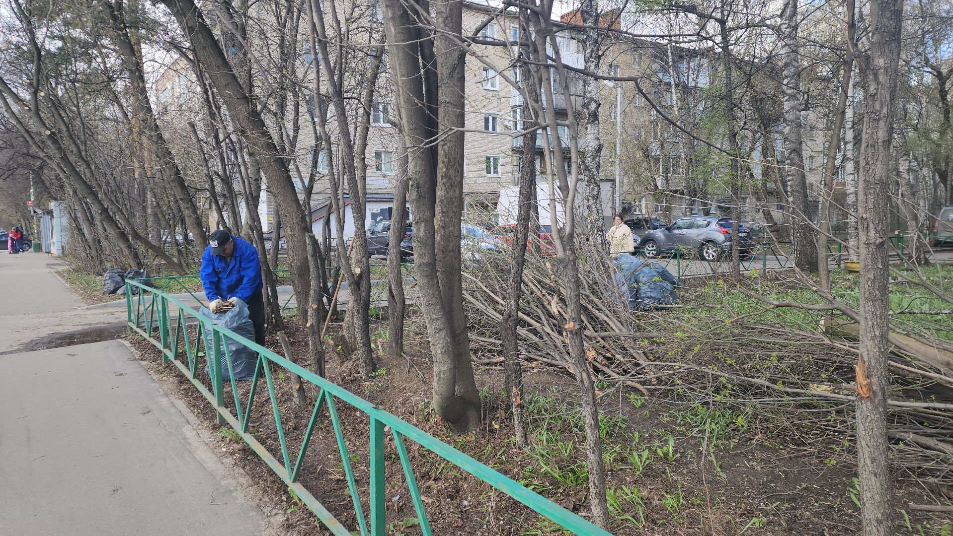 пушкино, субботник, благоустройство, уборка дворов, деревья,